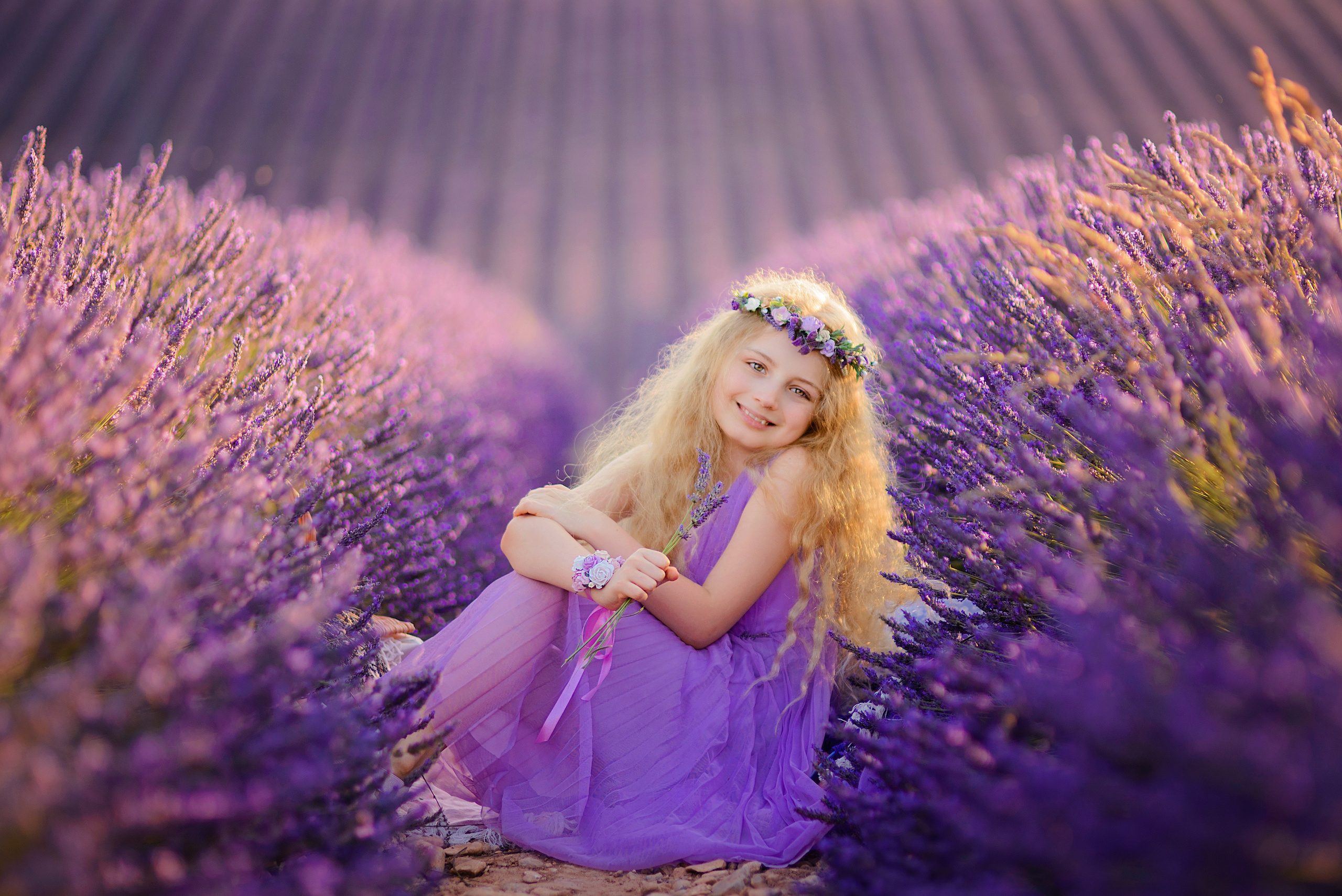 Lavender. Photographer in Provence Julia Lipiainen