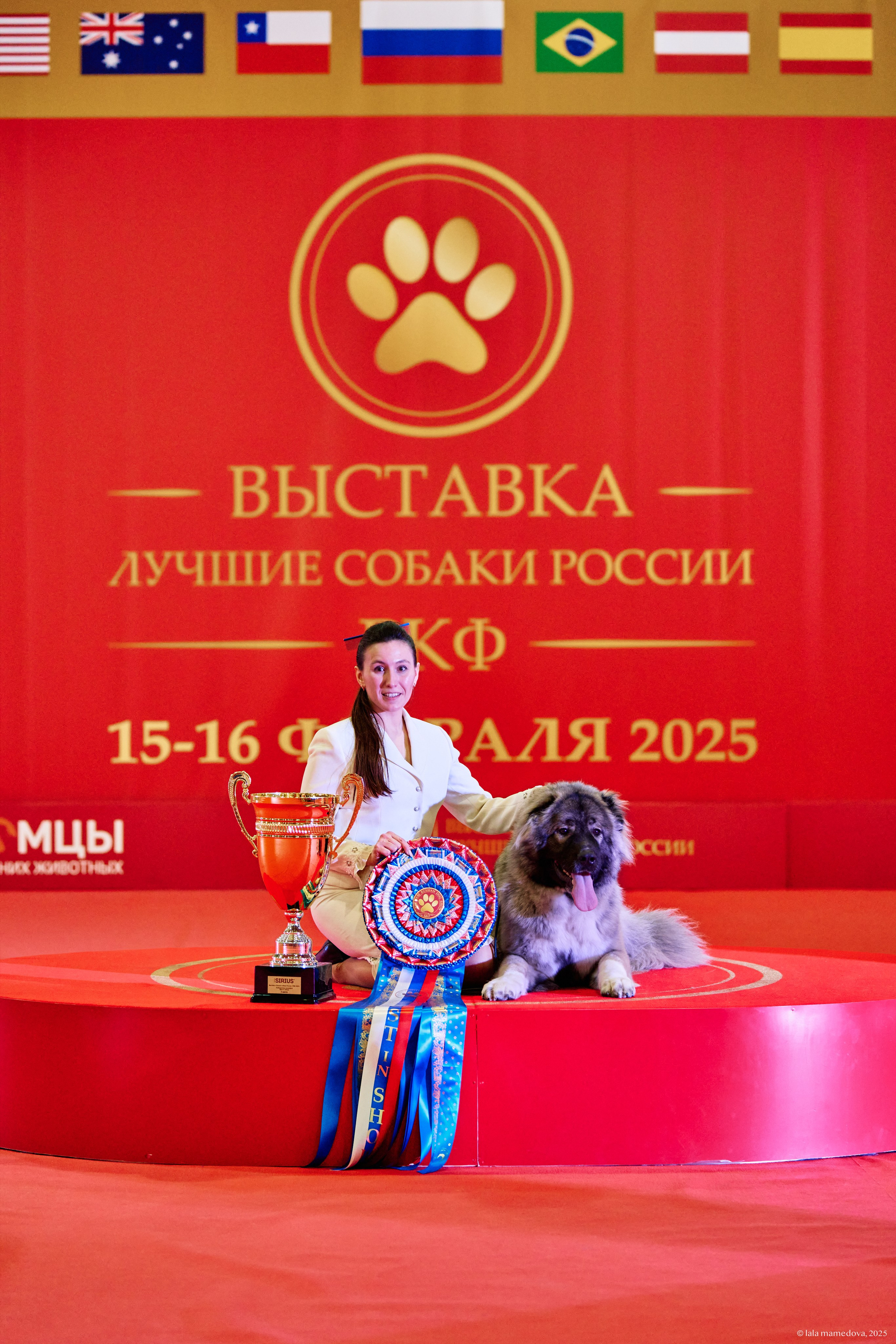 ЛУЧШИЕ СОБАКИ РОССИИ РКФ 2025