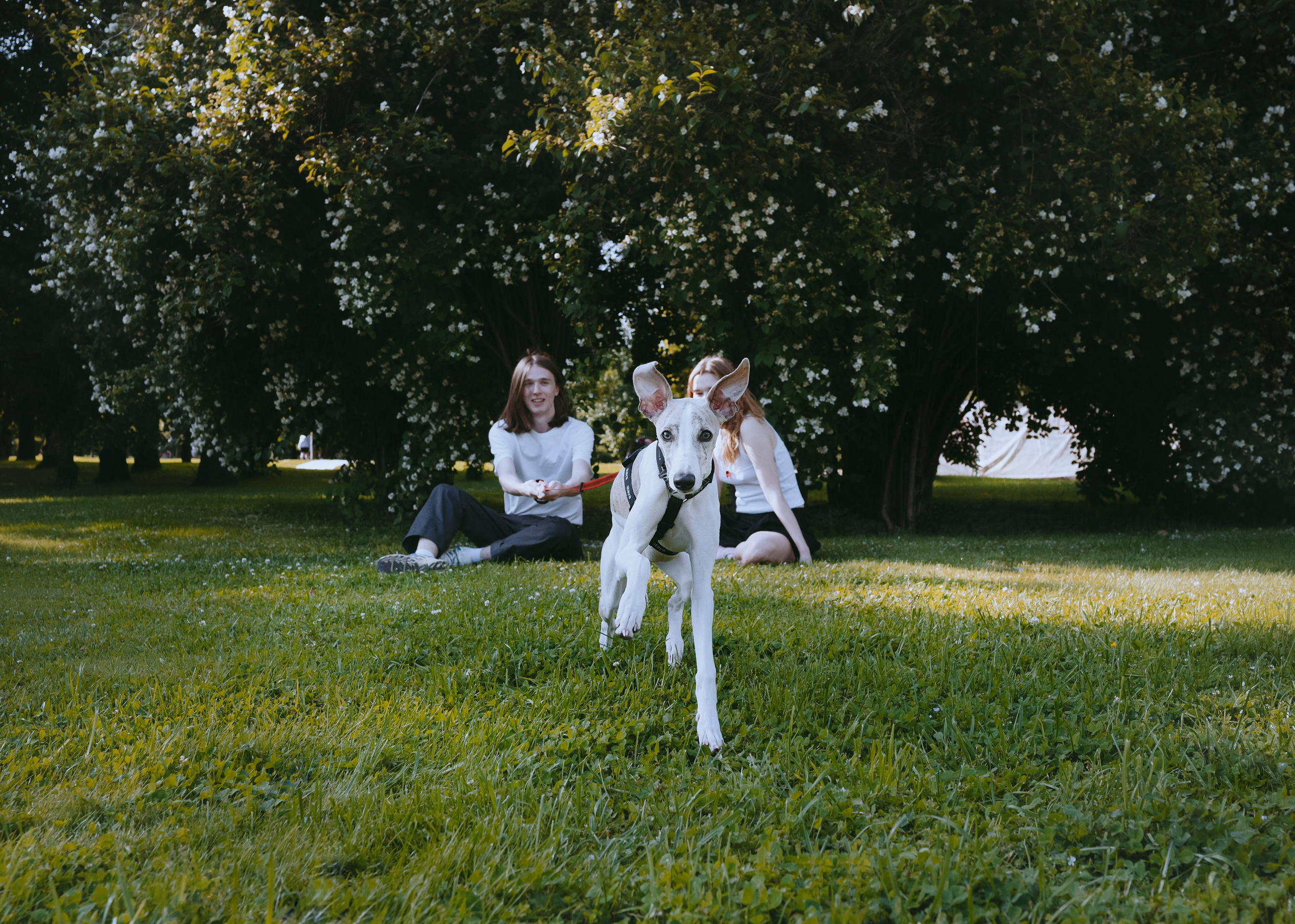 Ветка. Фотограф- анималист Александра Матвеева