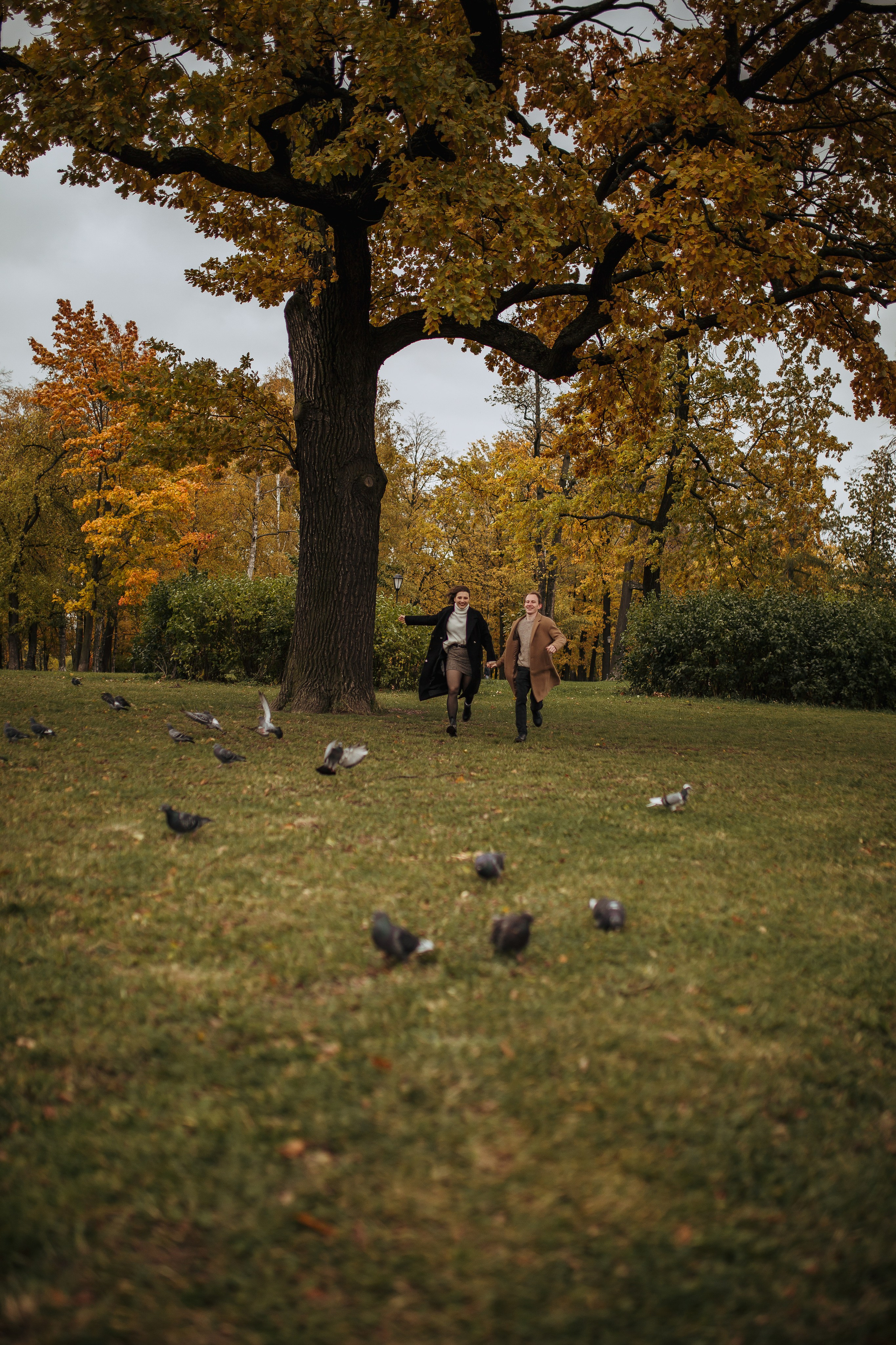 Елена & Роман предложение. Семейный и Свадебный фотограф в Санкт-Петербурге Плохая Екатерина