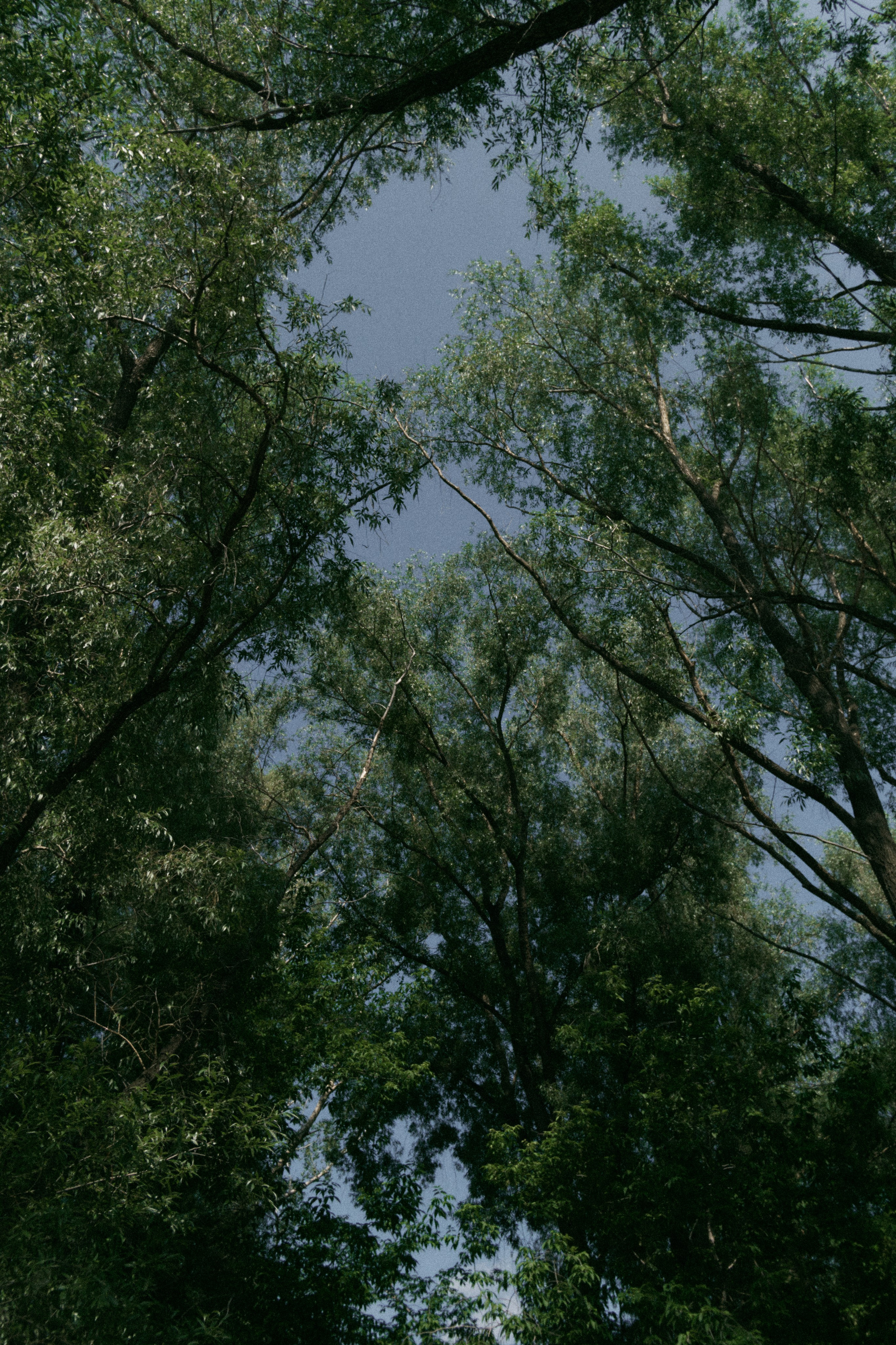 Наблюдения. Семейный фотограф в Новосибирске Артём Кузнецов