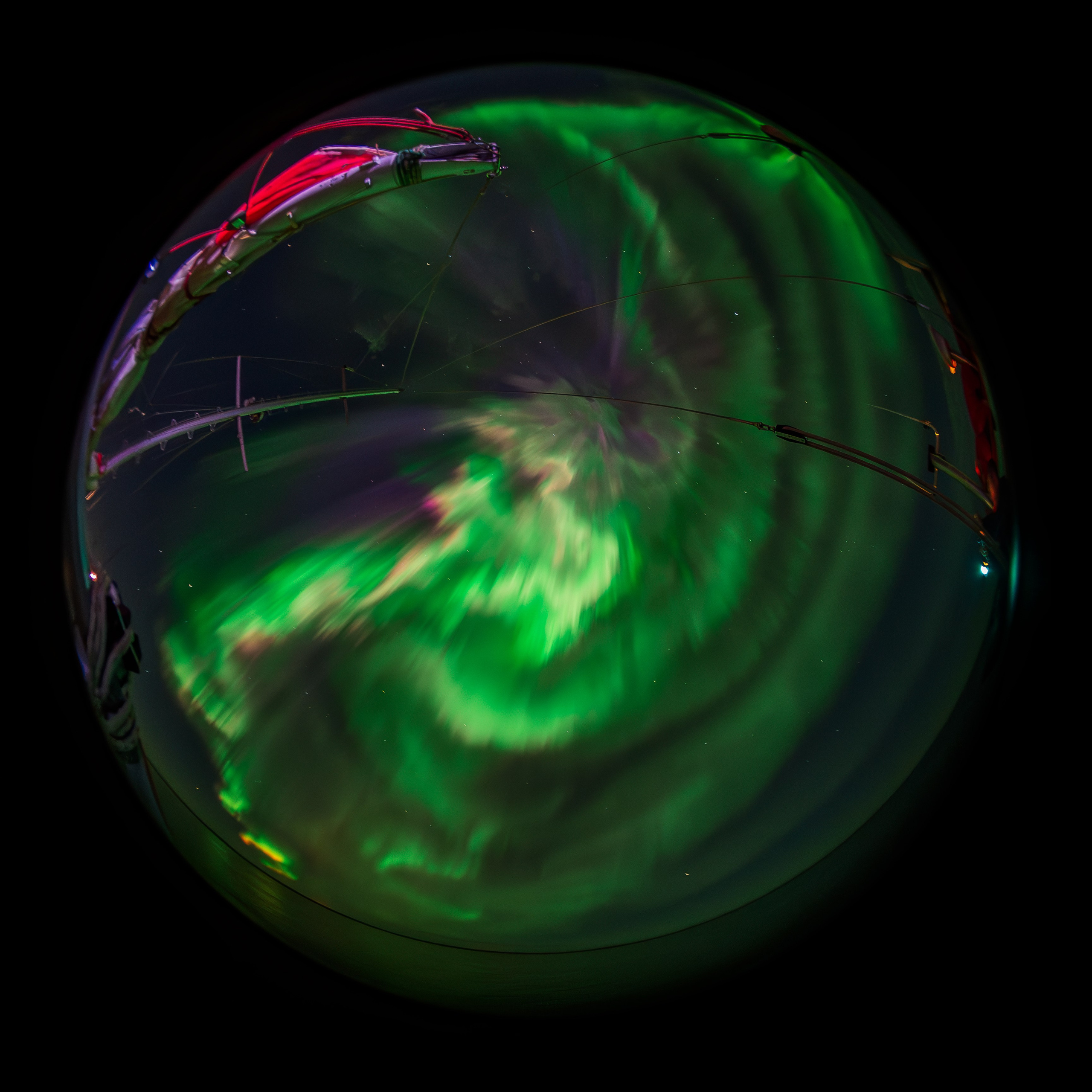 Арктика. Andrew Gusarov Nature Photography