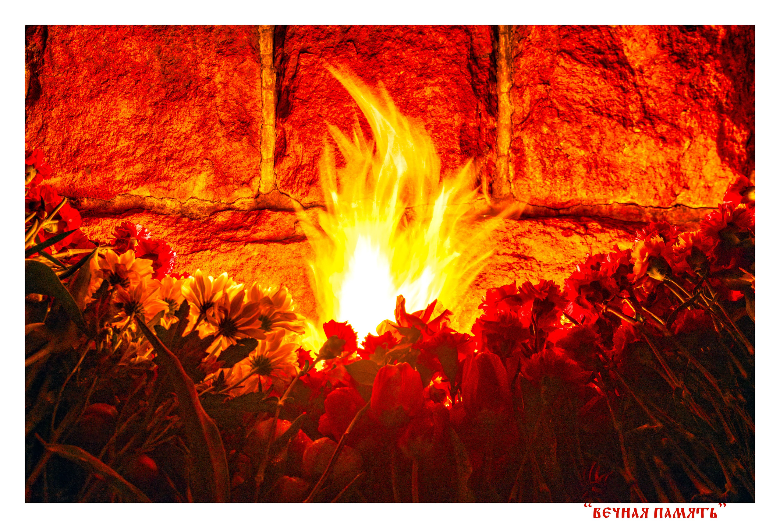 Уличное оформление на День города для центральной библиотеки имени Герцена. Тверь 890 лет. Фотограф — оформитель. Москва — Тверь