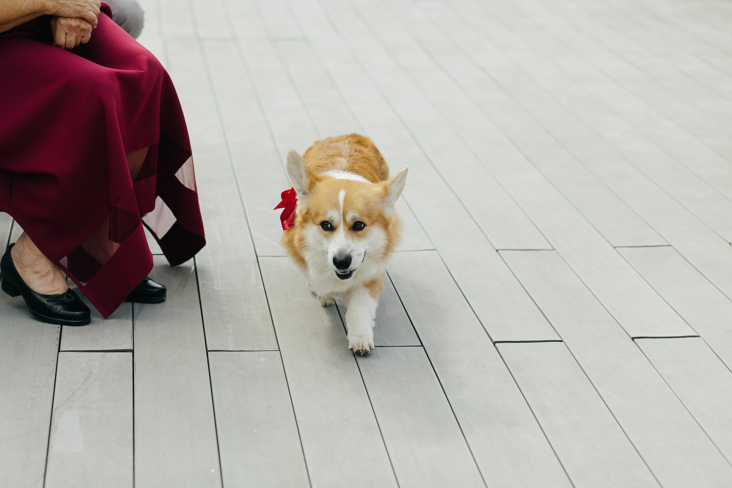 D & D. Фотограф Ольга Сапронова. Свадебный фотограф Ольга Сапронова