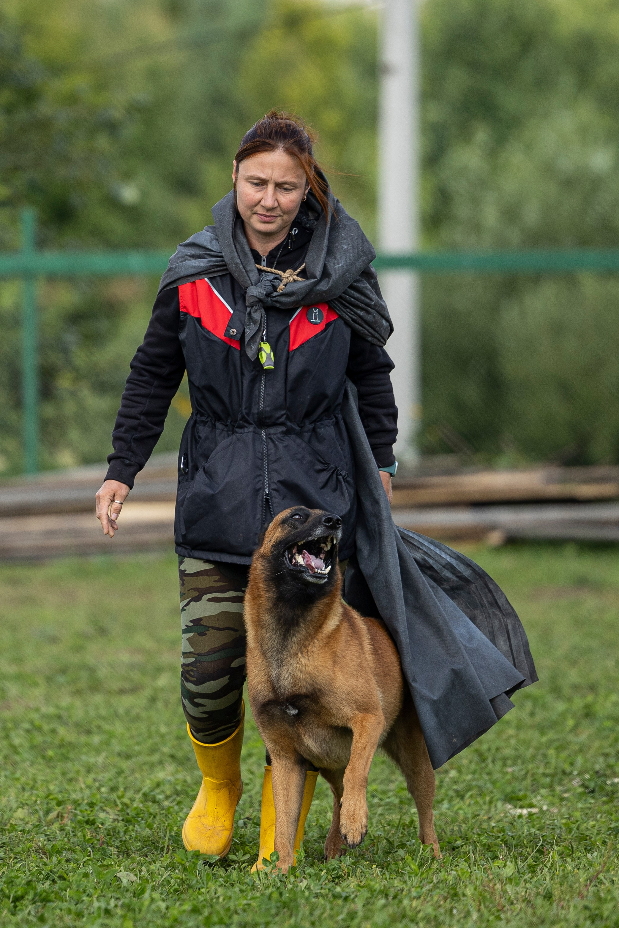 Соревнования по Мондьорингу г. Вологда 10-11.08.2024. Фотограф-анималист Анна Маринич