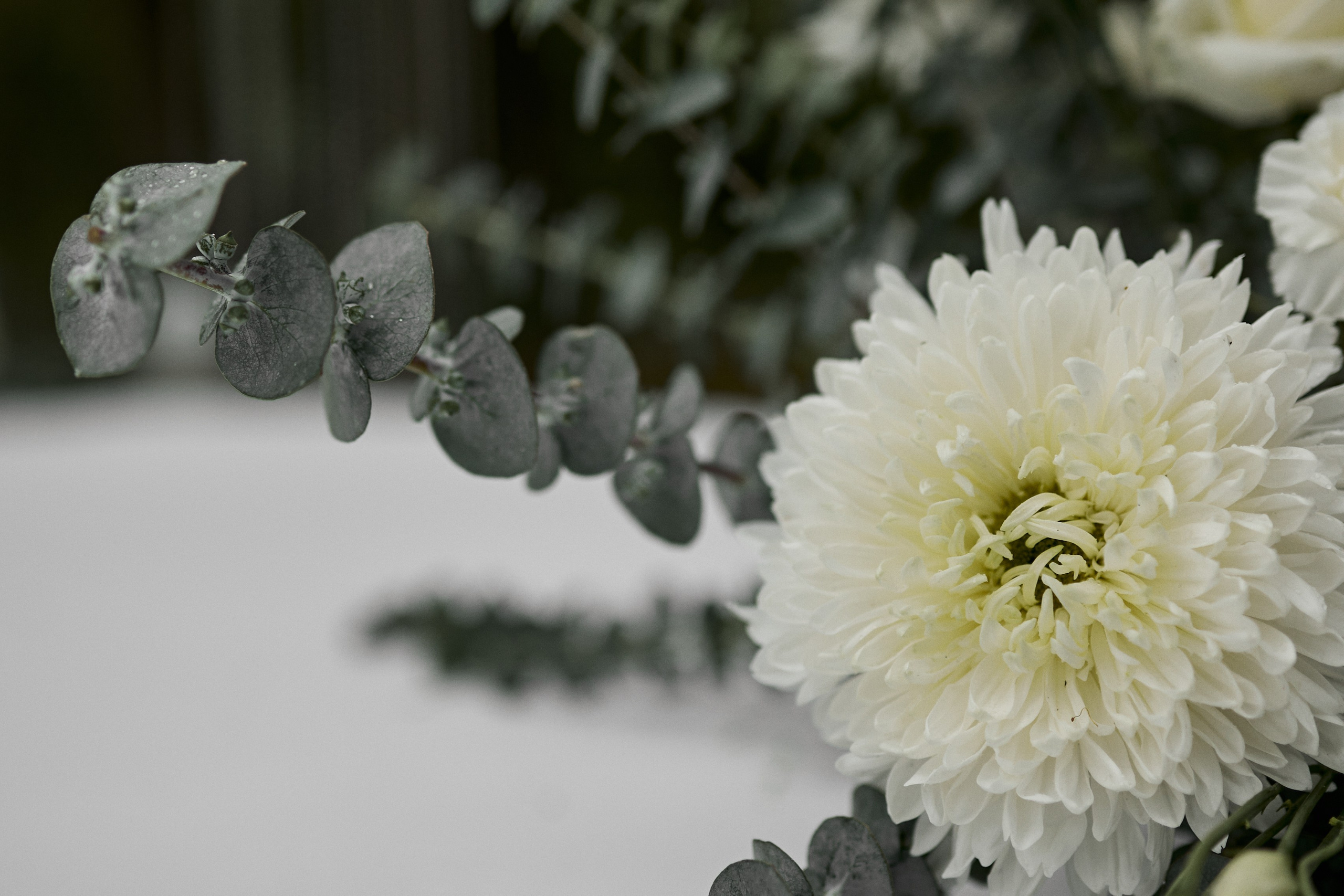 Crystal Swirl. Студия декора НикитинаДекор — оформление мероприятий в Ульяновске. Профессиональное создание эксклюзивных декораций