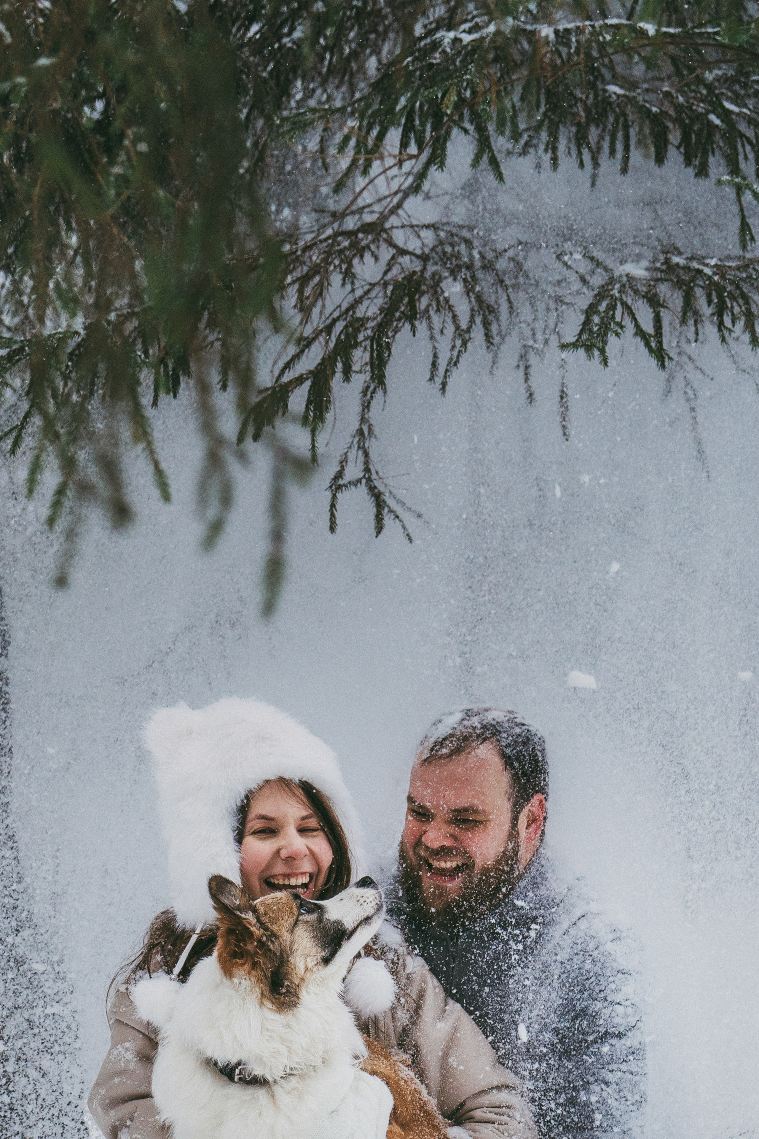Катя, Анатолий и Елай. Фотограф анималист в Москве и Санкт-Петербурге Свиридова Анна