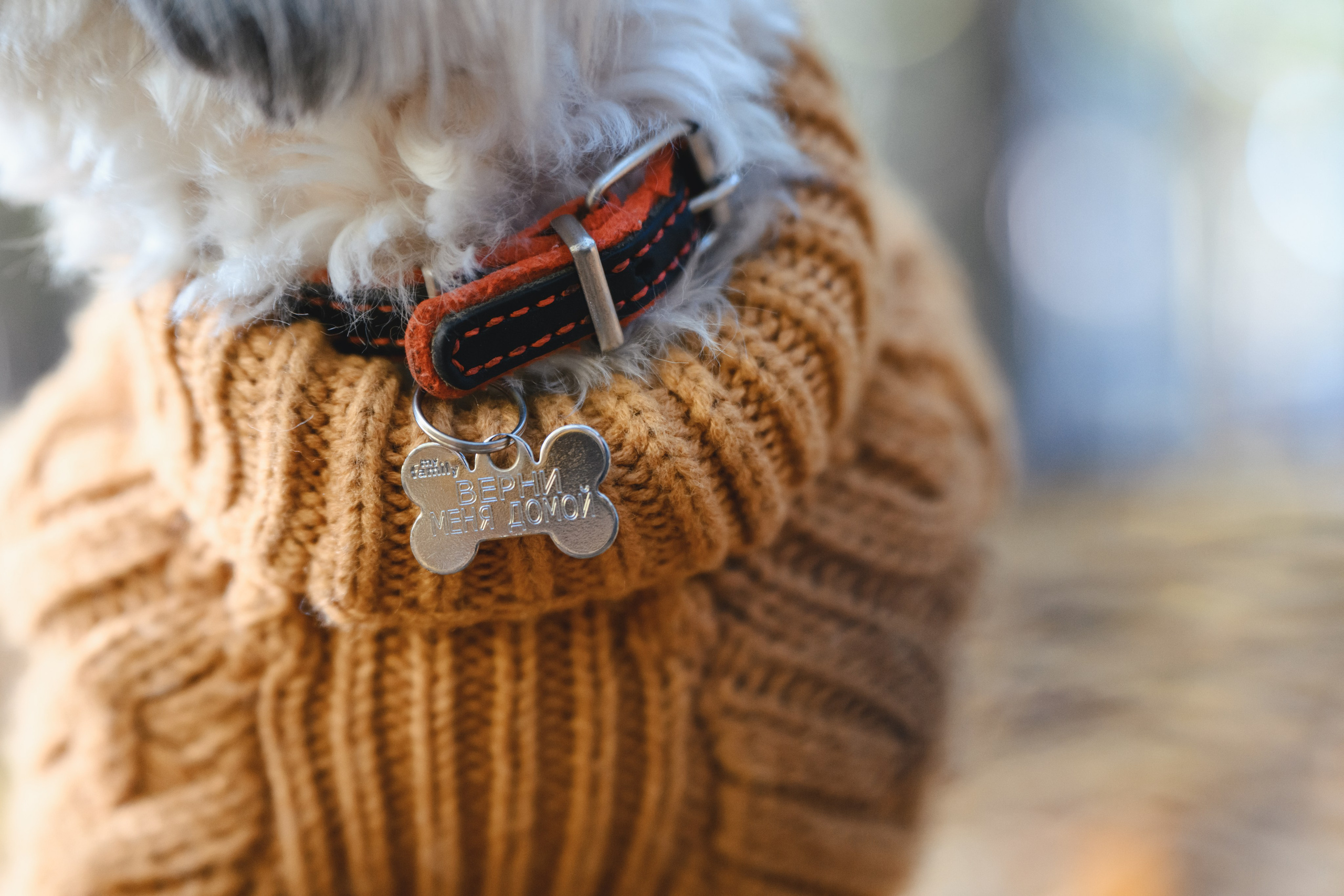 Ирина и Винни. Фотограф Анималист в Москве Анастасия Жучкова