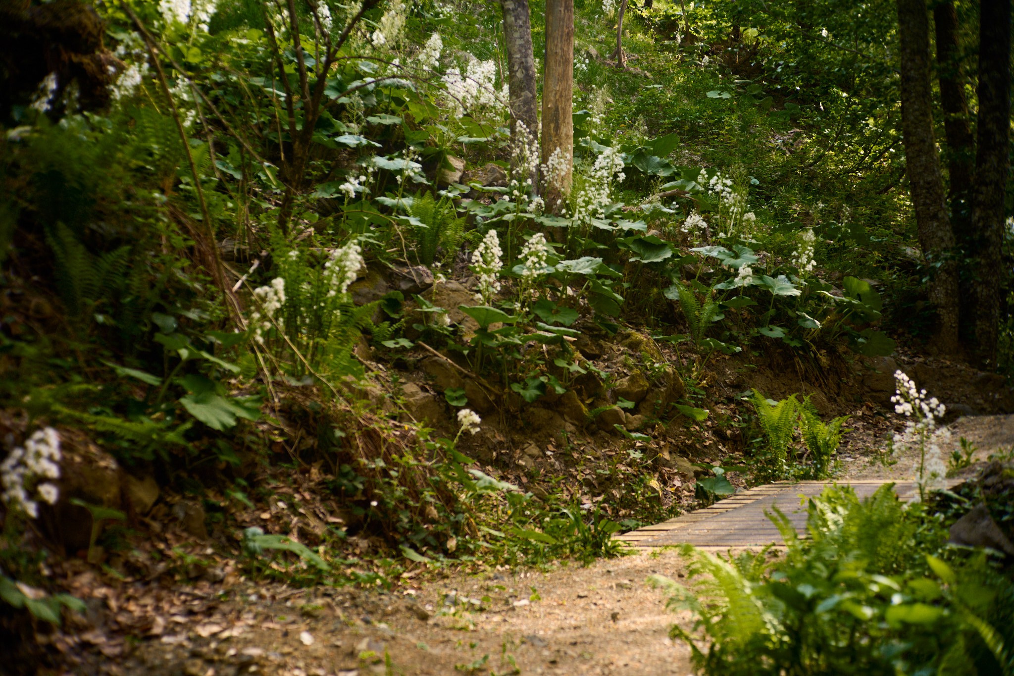 Красная Поляна, апрель 2024. Фотограф, Римма Невинская