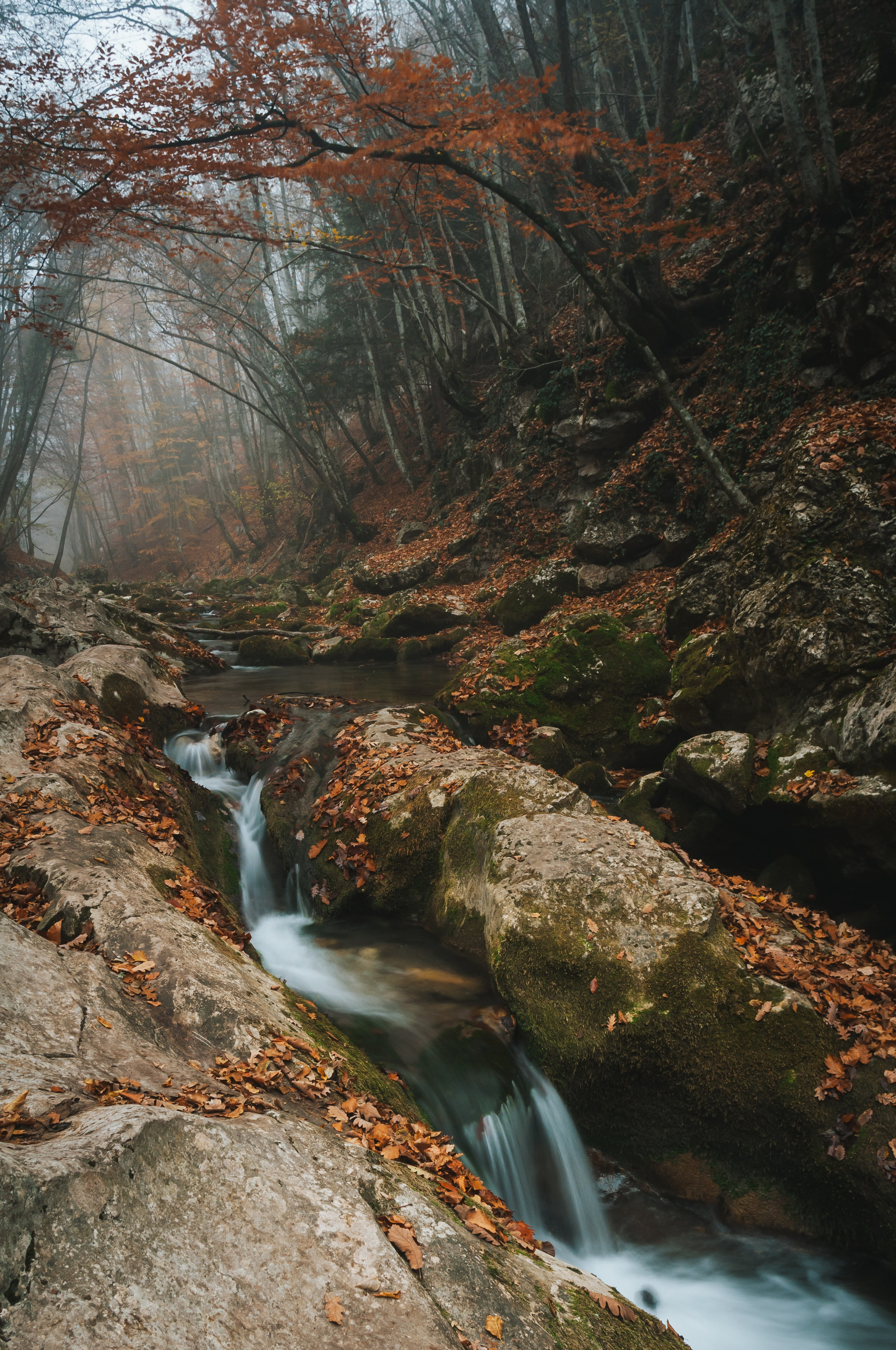 Пейзажи. Дмитрий Шалыгин — Ваш фотограф в Севастополе и Крыму