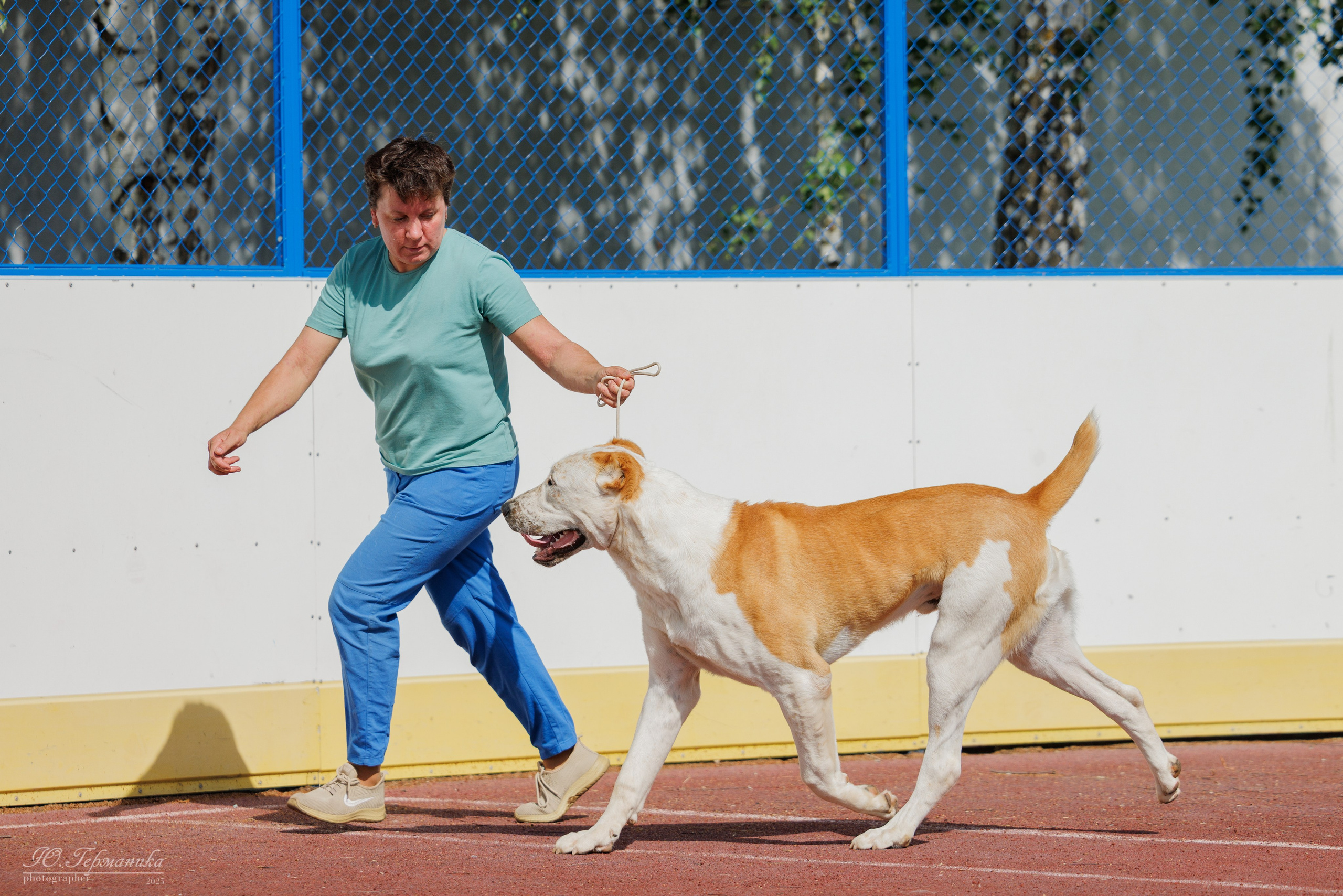 Коломна 30.08.2025. Фотограф-анималист Юлия Германика