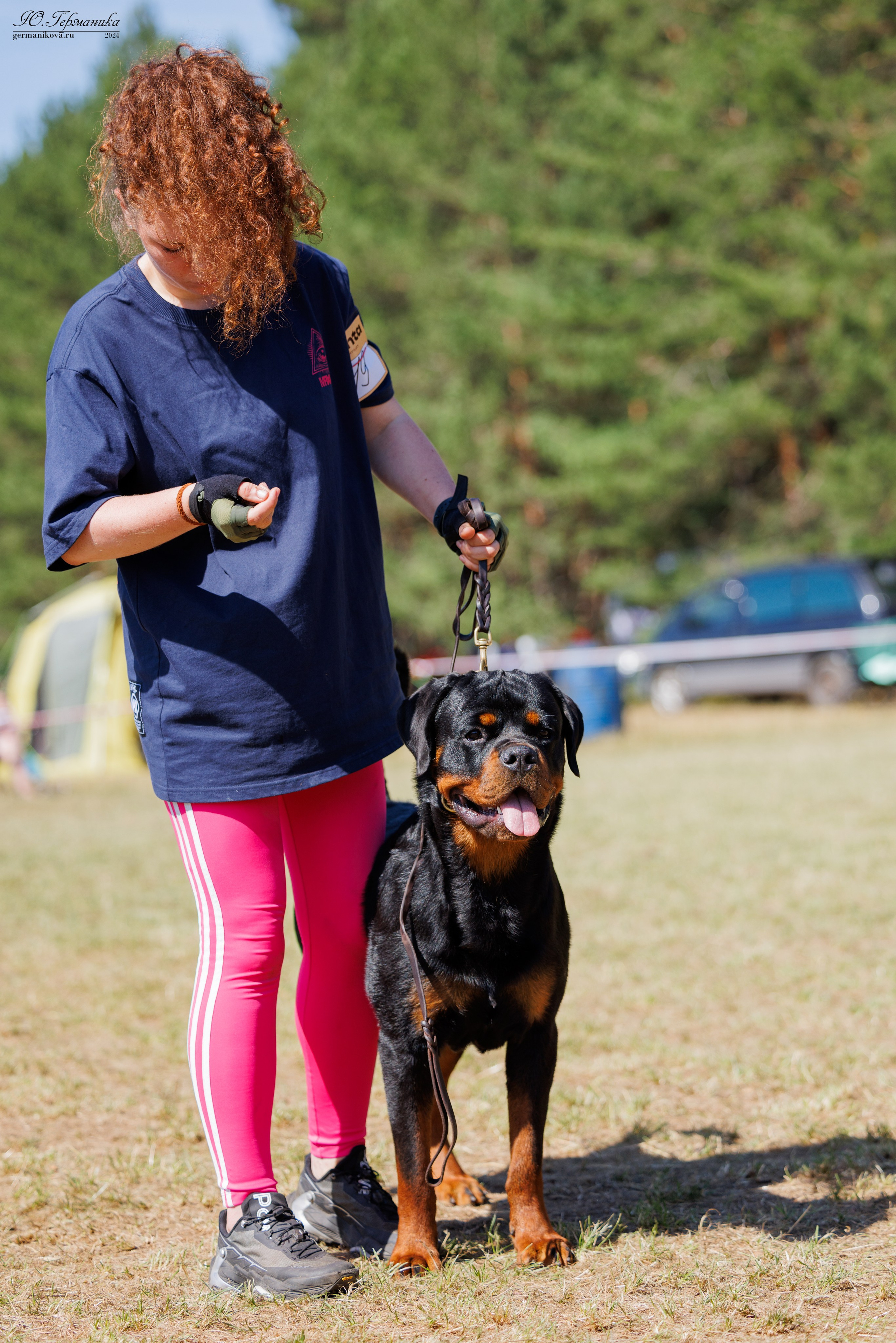 ПК и КЧК ротвейлеры Тверь 6-7.07.2024. Фотограф-анималист Юлия Германика