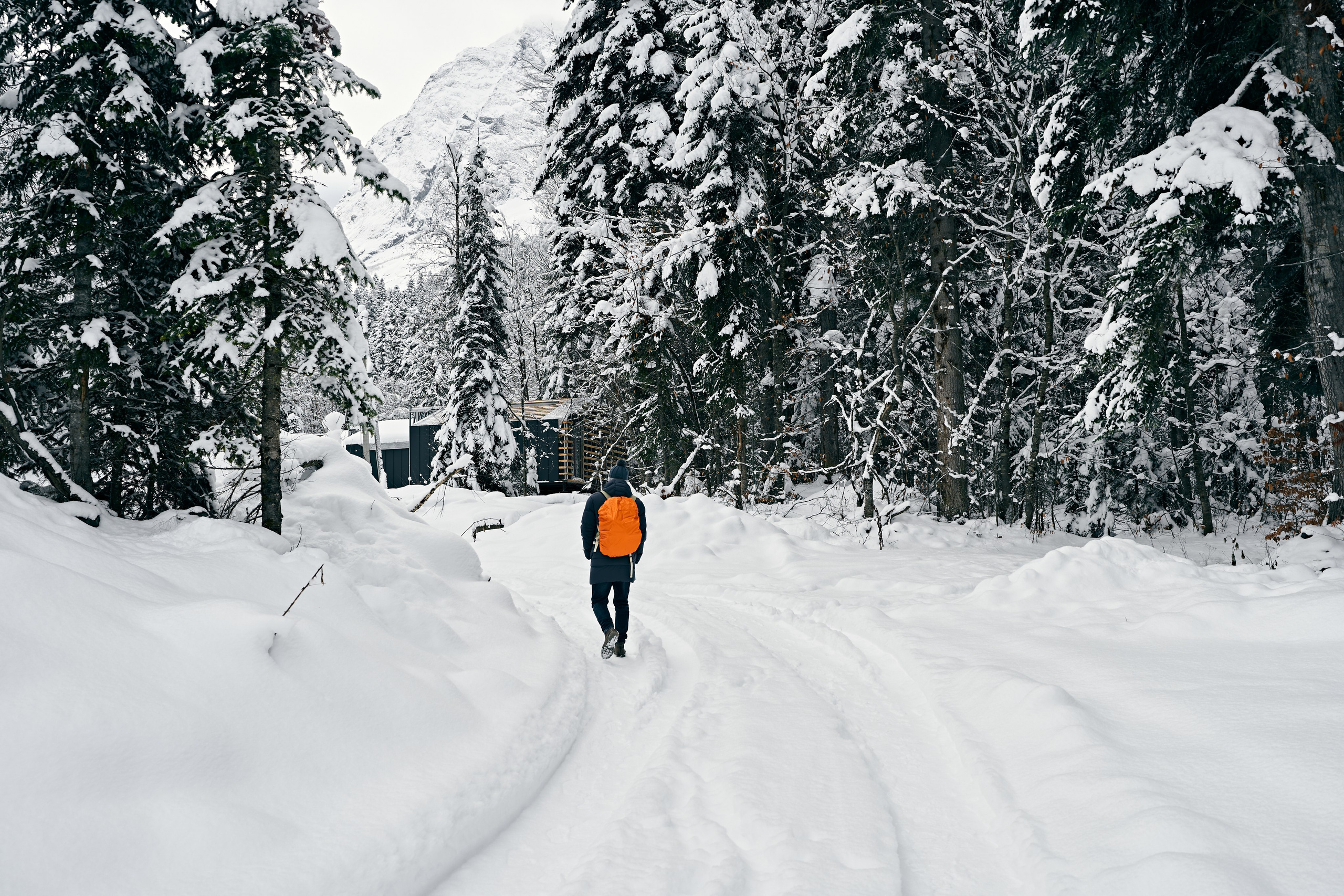 Блог. Фотограф и видеограф Елена Хмелевская