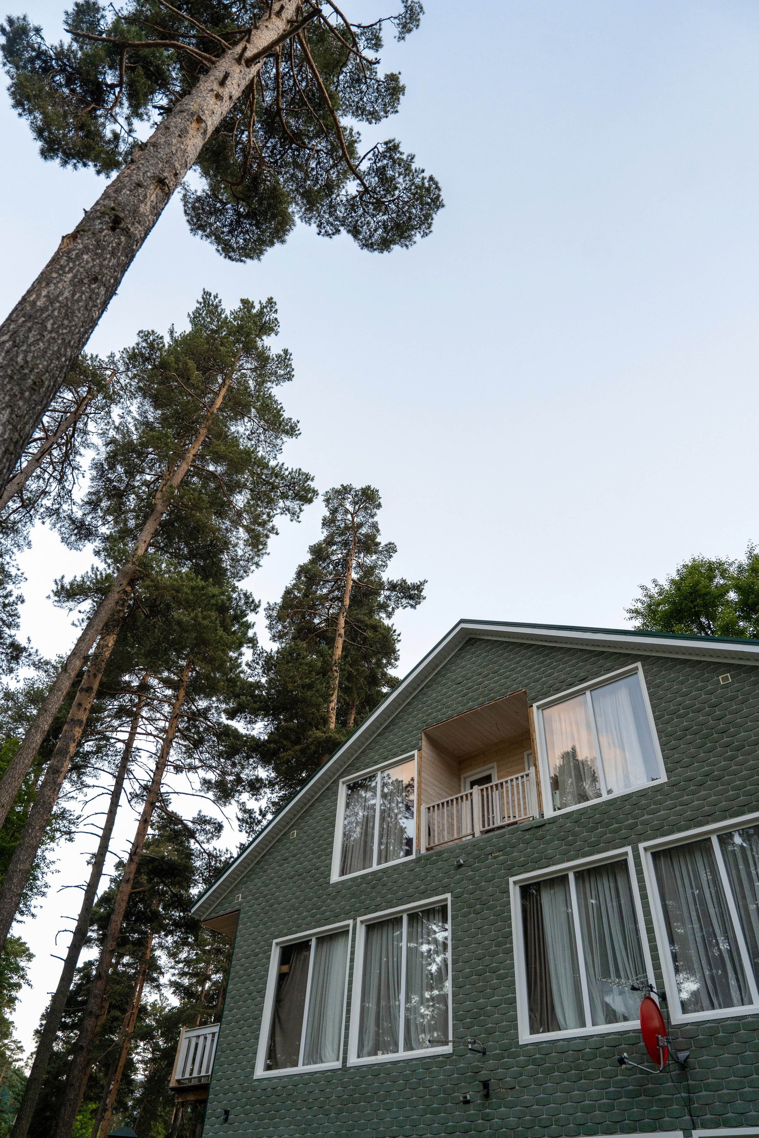 Green Park. Фотограф и видеограф Елена Хмелевская
