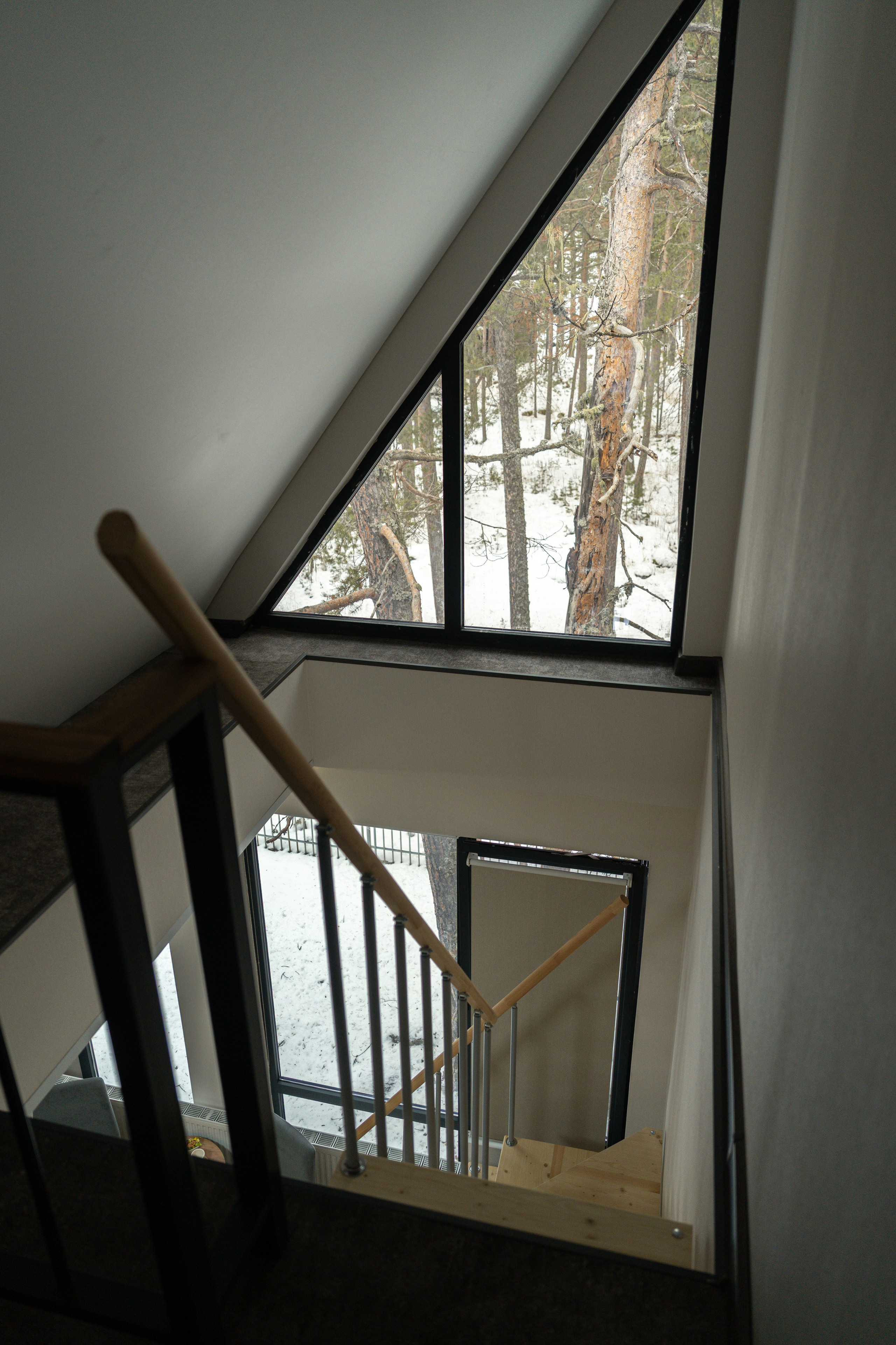 Эклер. Фотограф и видеограф Елена Хмелевская