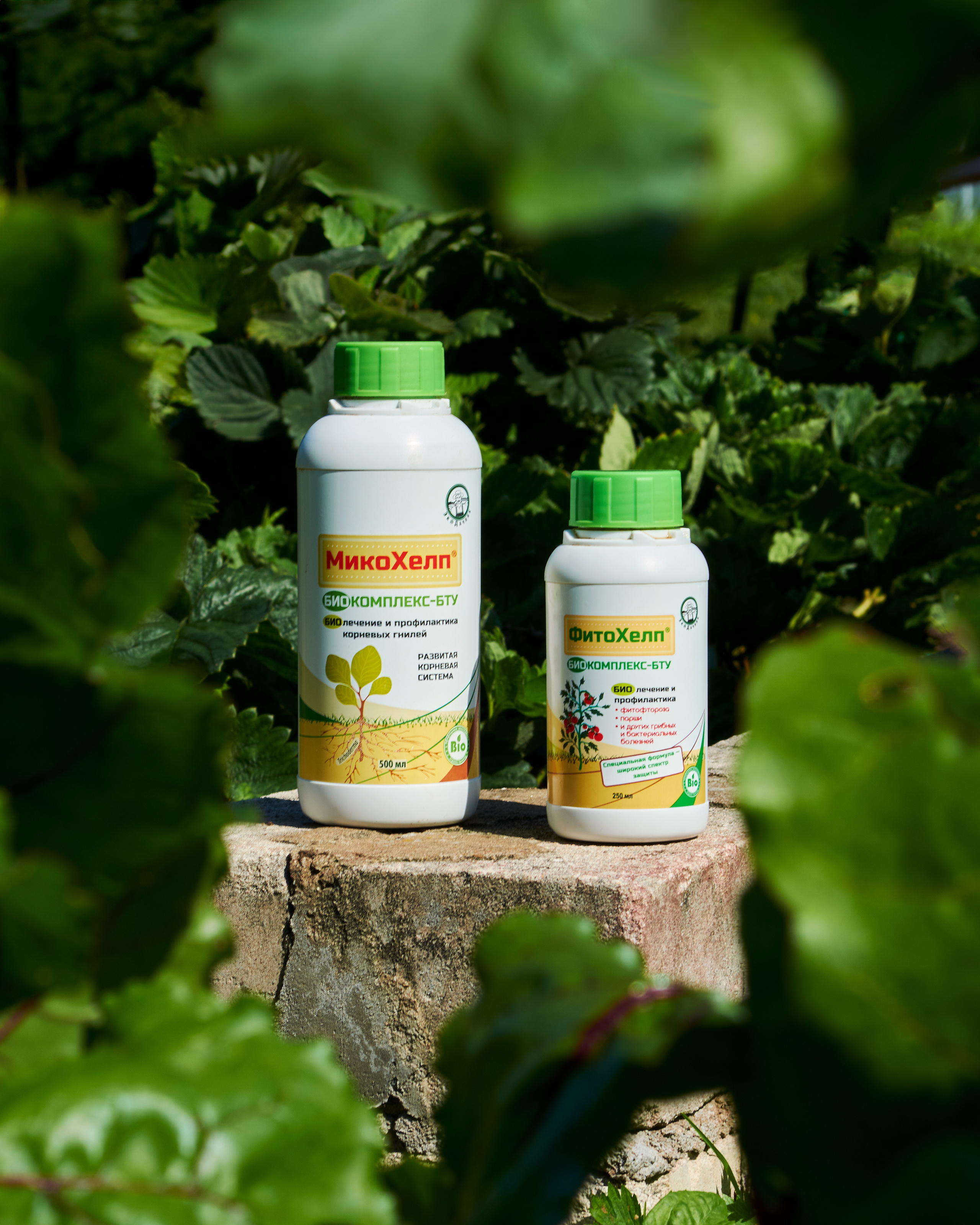 ЭкоДачник. Предметный фотограф в Москве Софья Боргардт