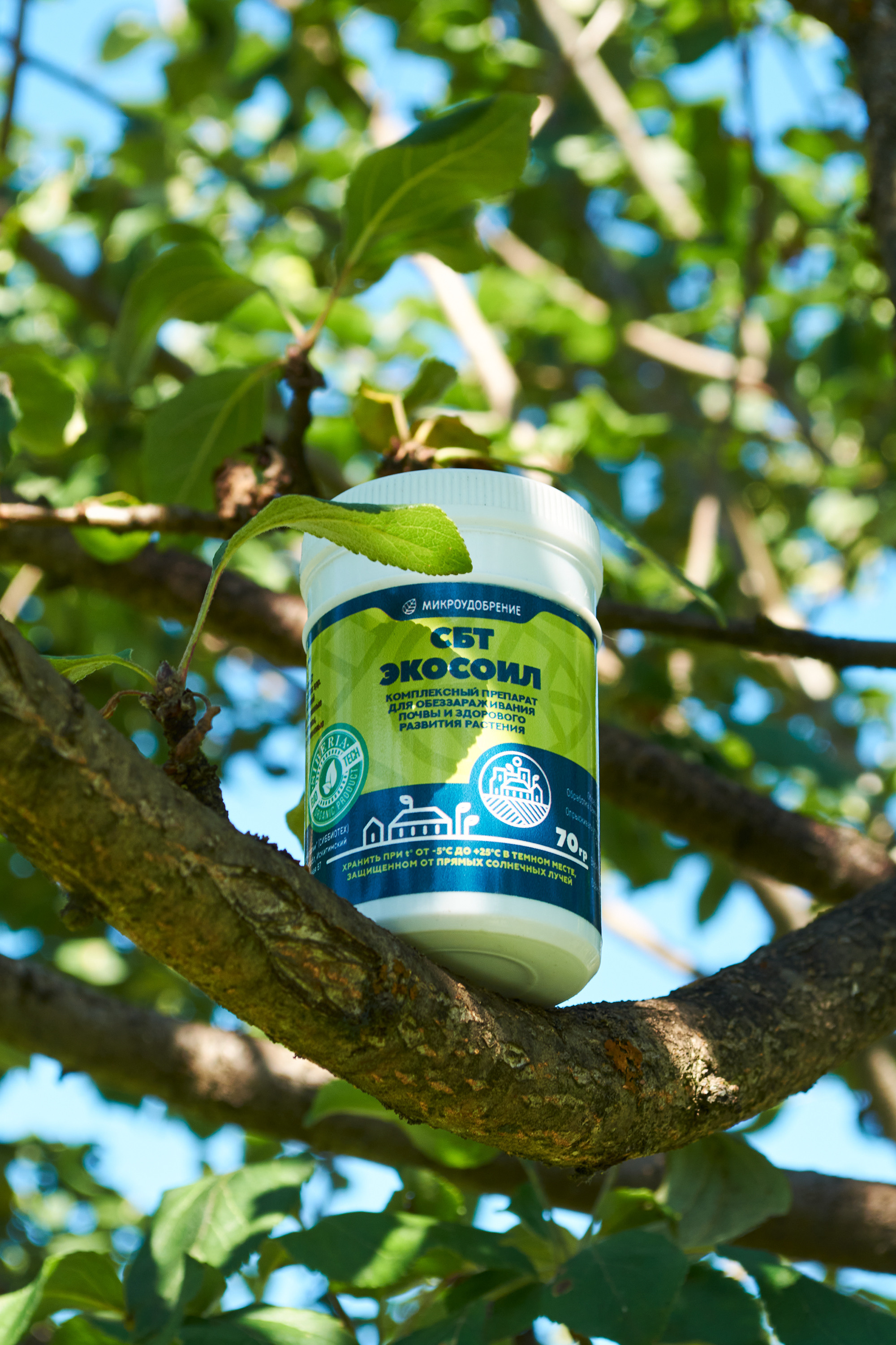 ЭкоДачник. Предметный фотограф в Москве Софья Боргардт