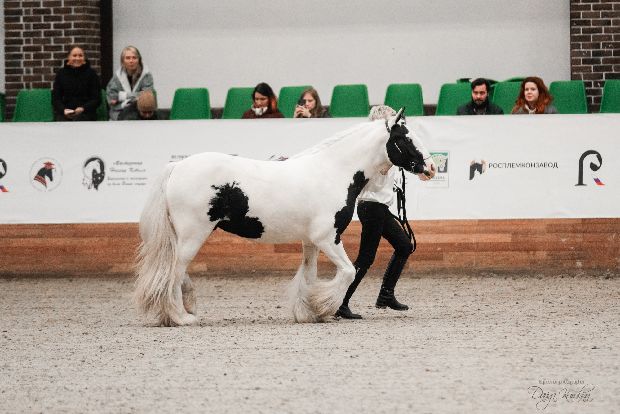 8-я международная выставка Конная Россия. Конный фотограф Куракина Дарья • Фотосессии с лошадьми