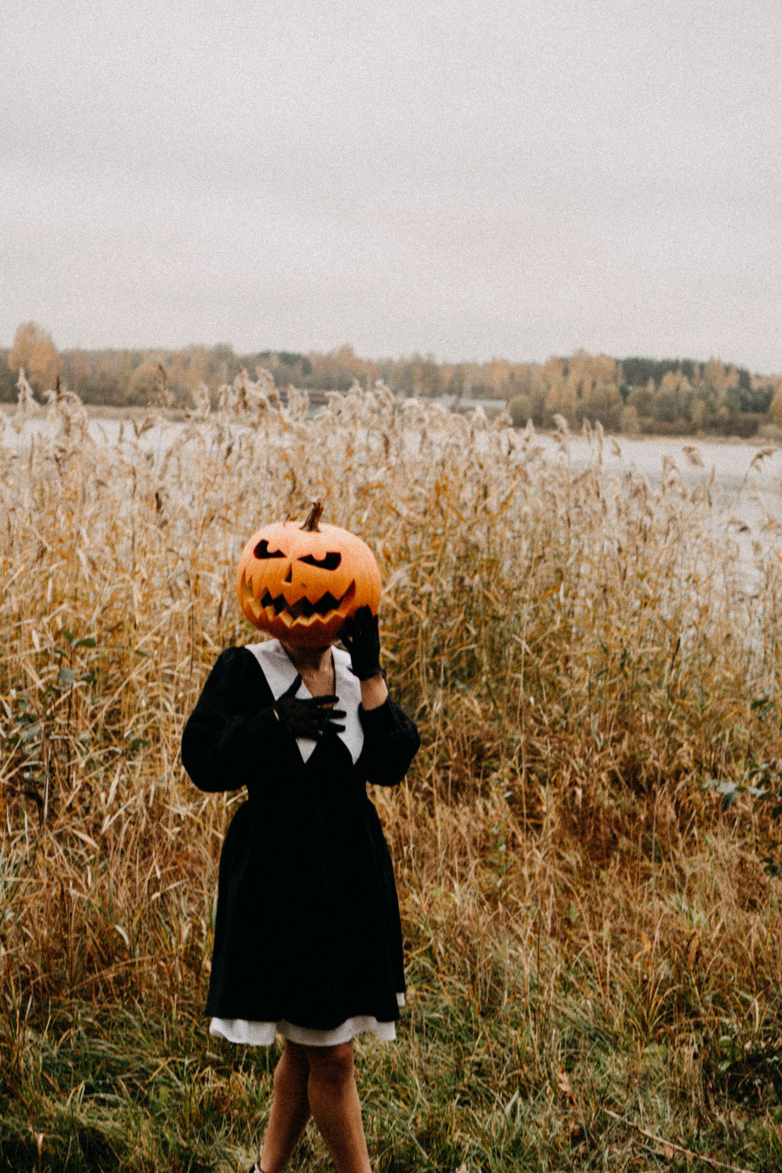 Осеняя. Профессиональный фотограф, Санкт-Петербург — Виктория Богомолова