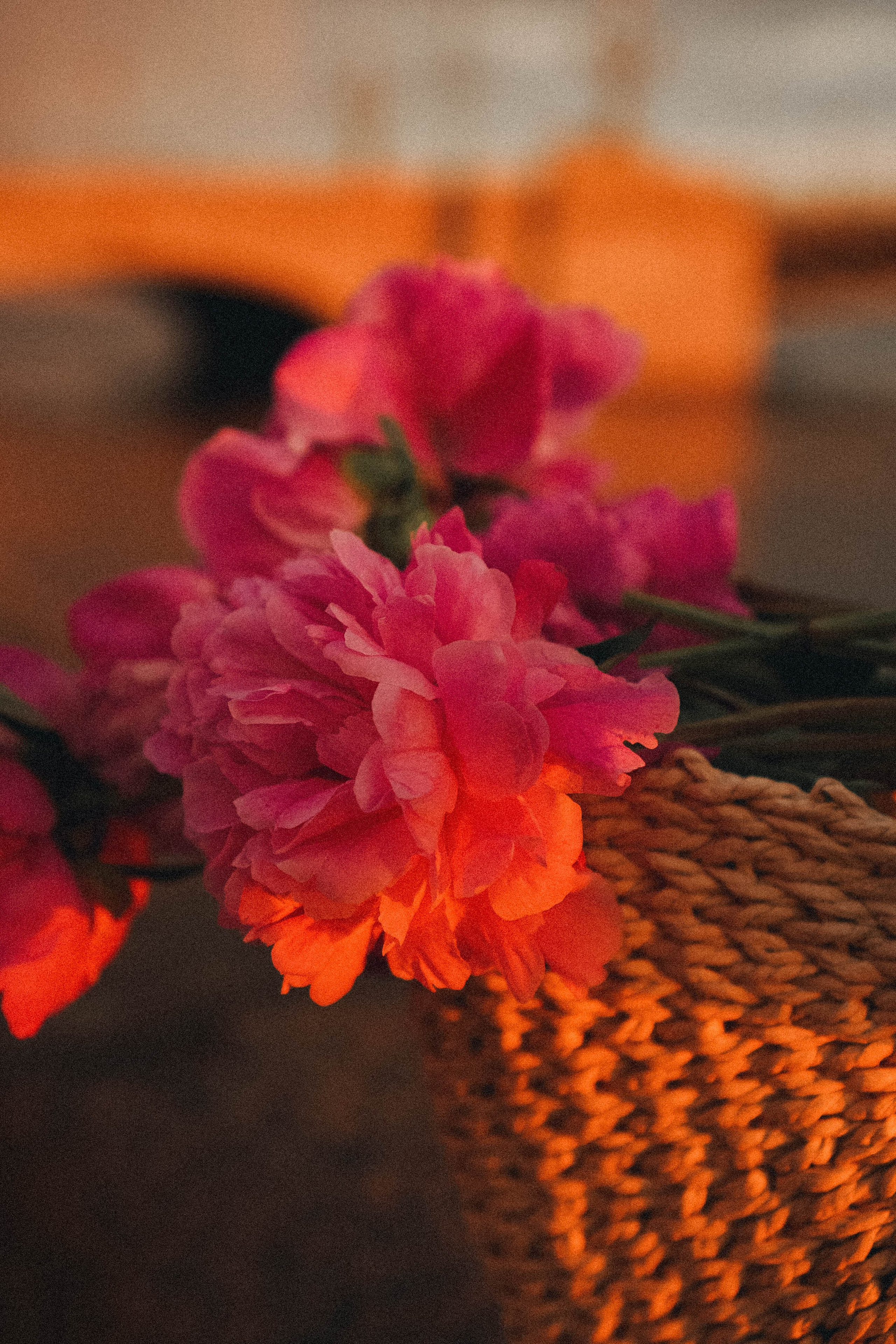 Любовь. Профессиональный фотограф, Санкт-Петербург — Виктория Богомолова