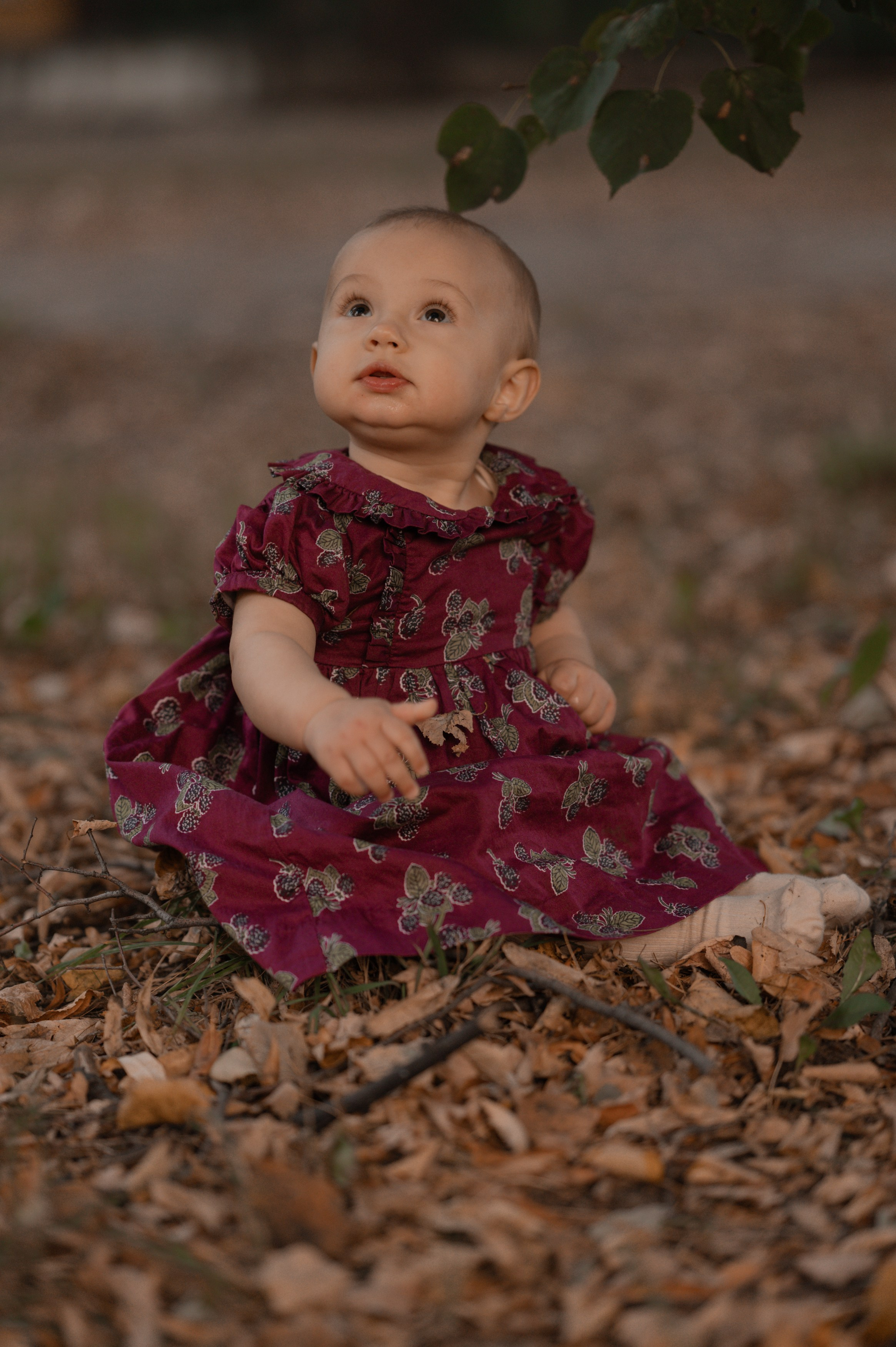 Осень. Фотограф Ким Ангелина