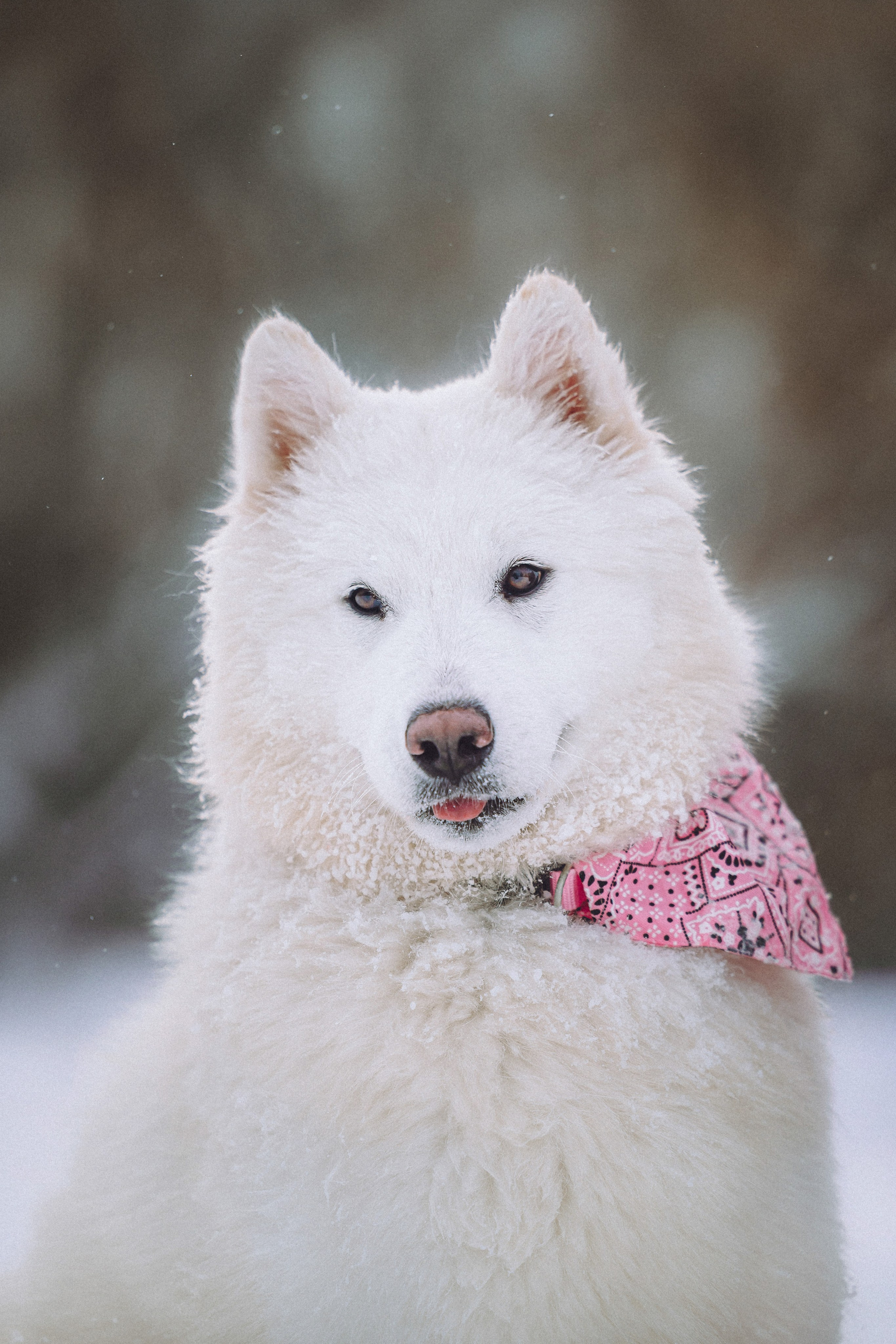 Мария и Мася