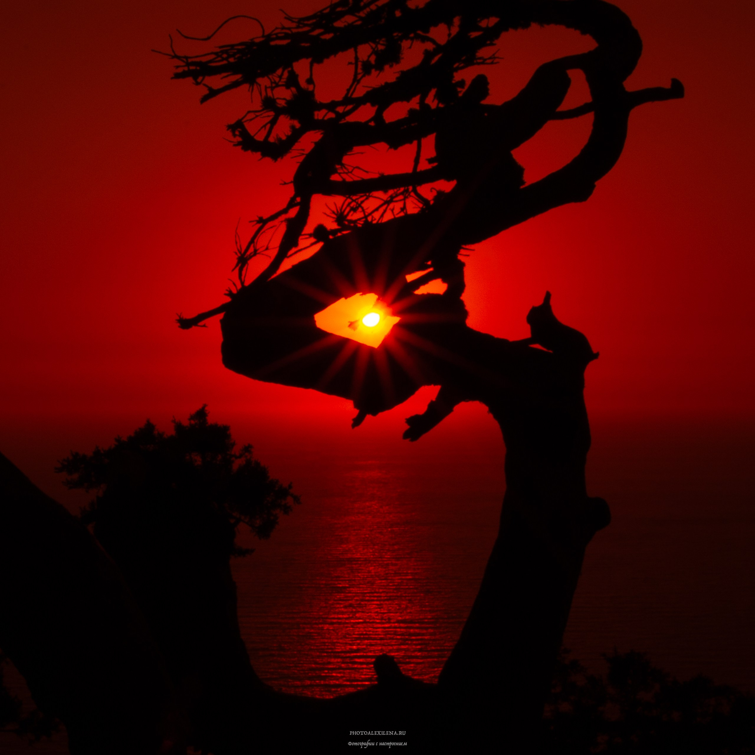 Светило в кадре. Авторские стильные фотокартины