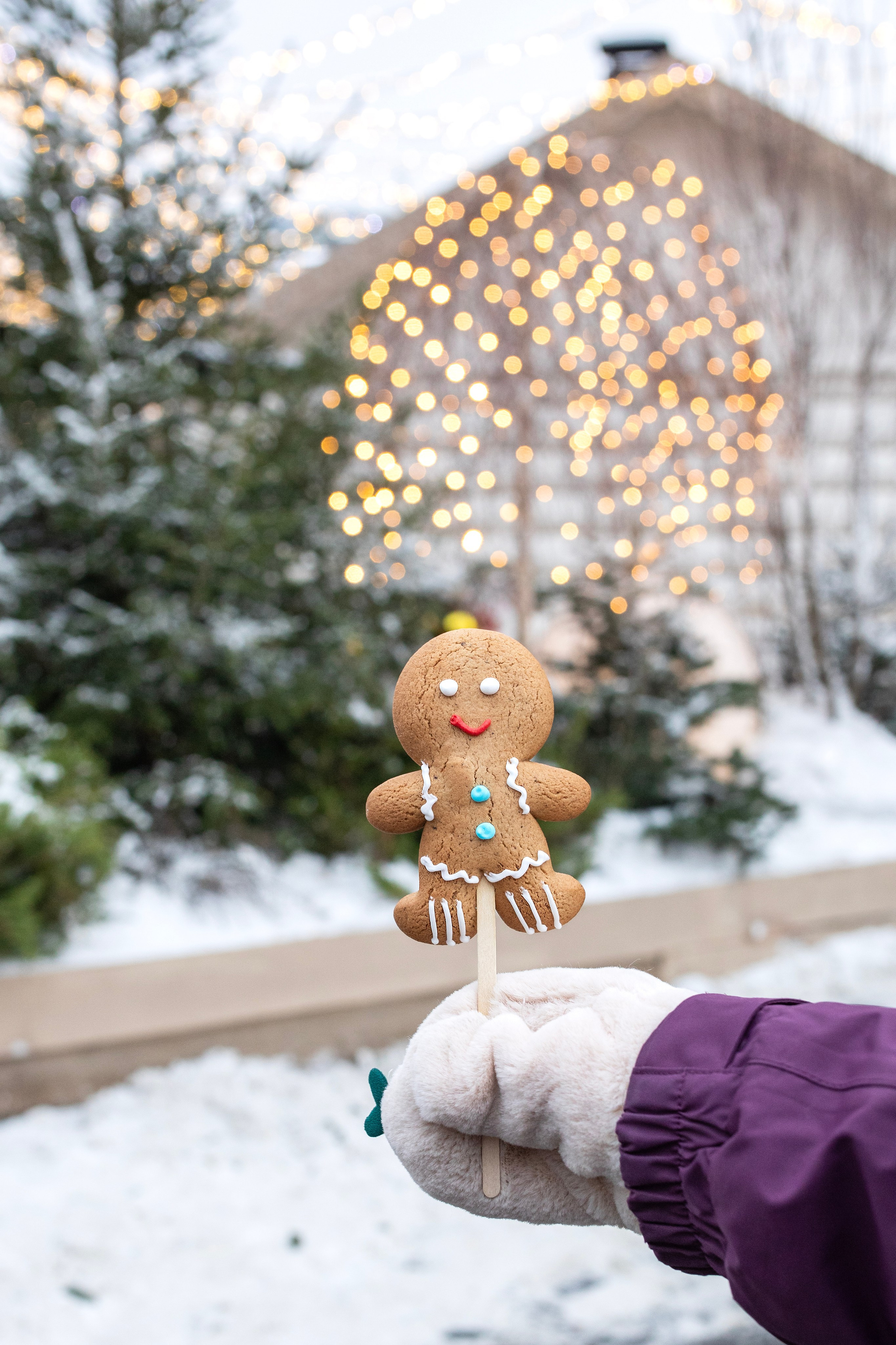 Светлана с дочерьми. Арт- фотограф Москва