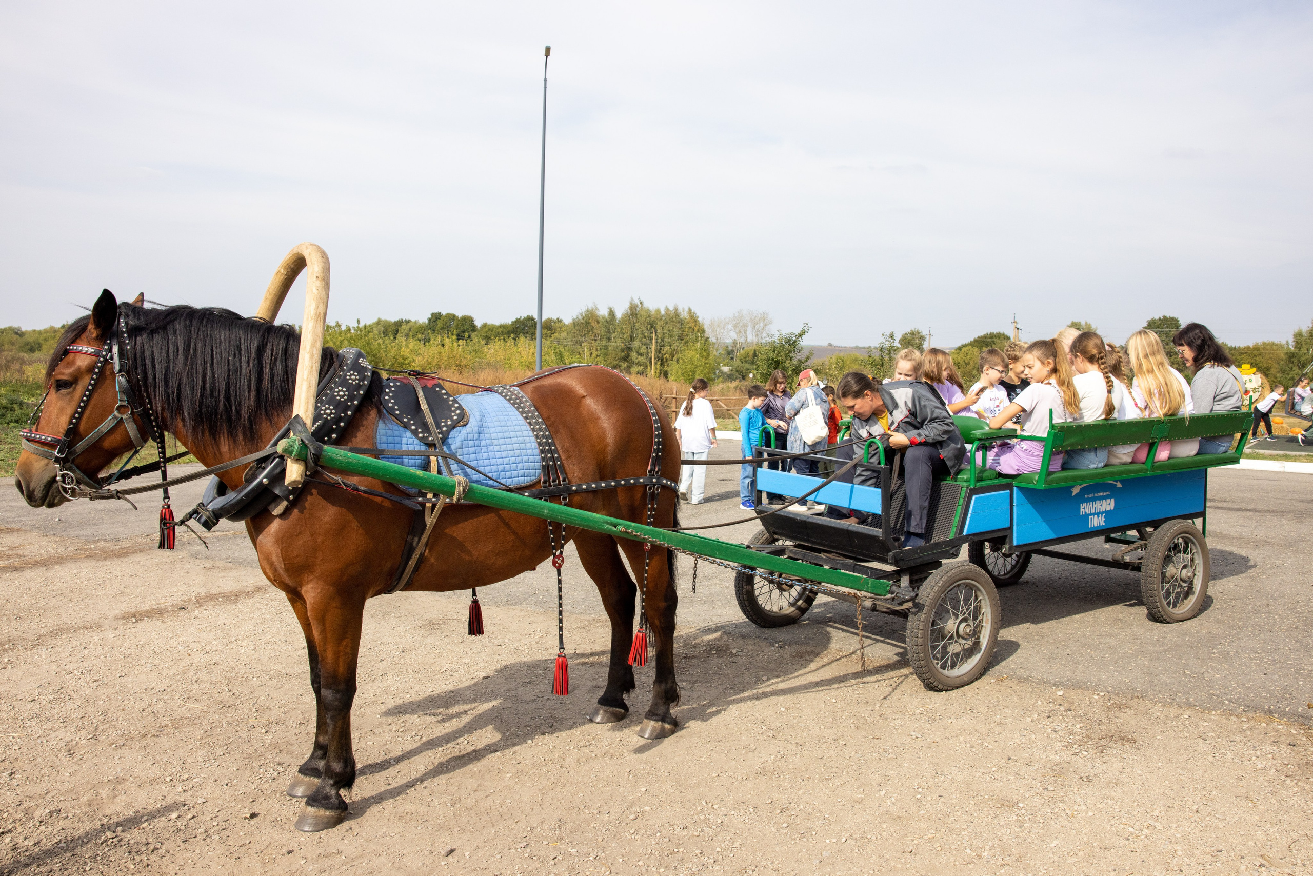 Поездка на поле Кулеково. Фотограф в Туле Крупский АнДРей. Фотостудия «КАДР71» в Туле