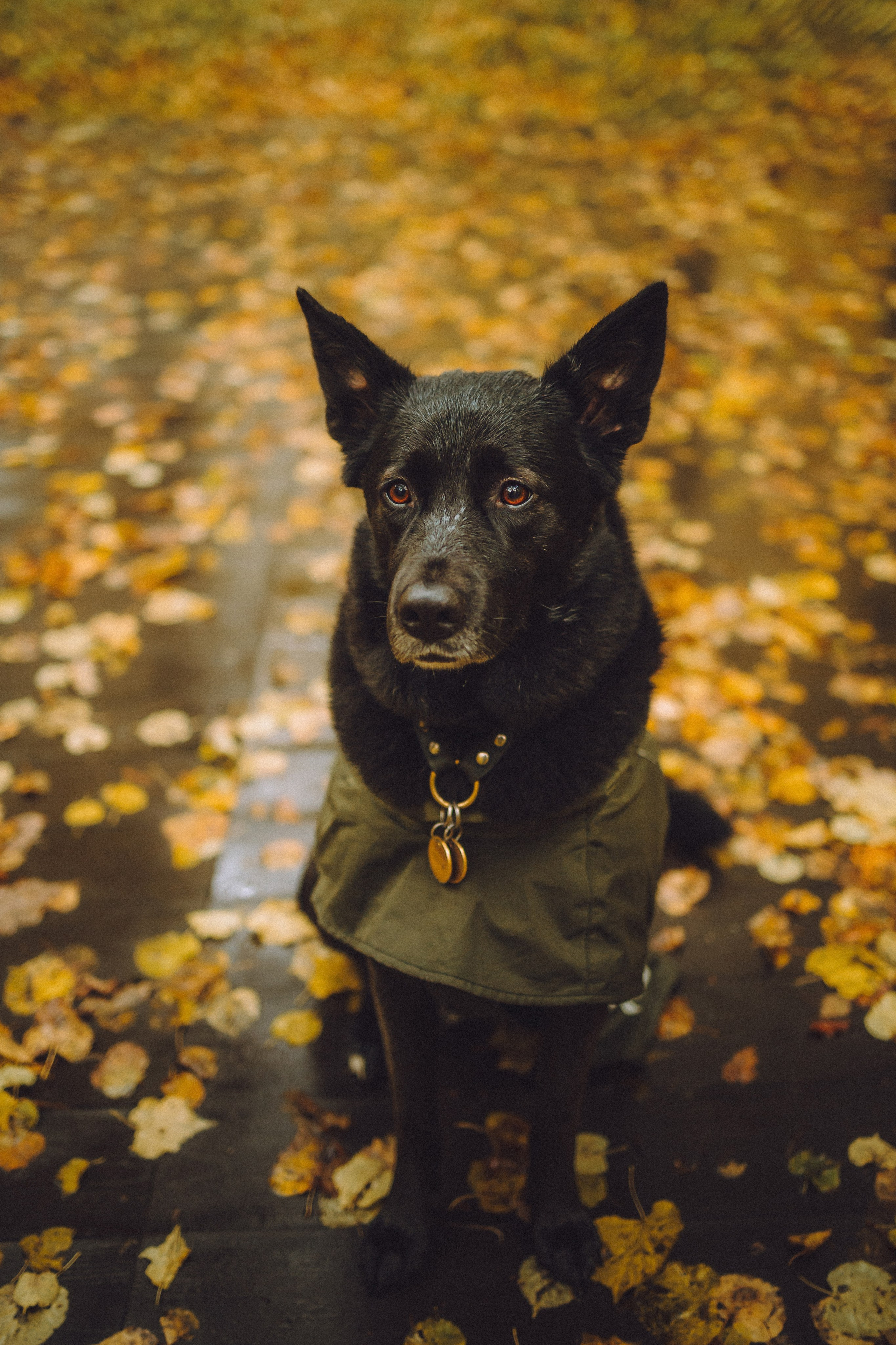 Рита и Буба