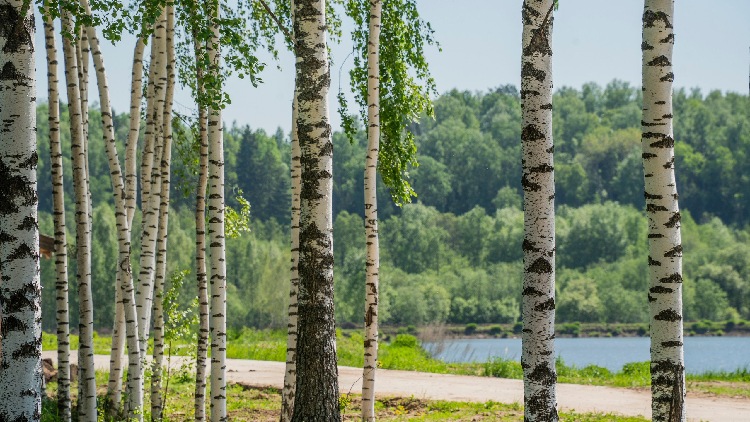 RUSSO-BALT RESORT. Бани во Владимире. Свет, камера, улыбка!