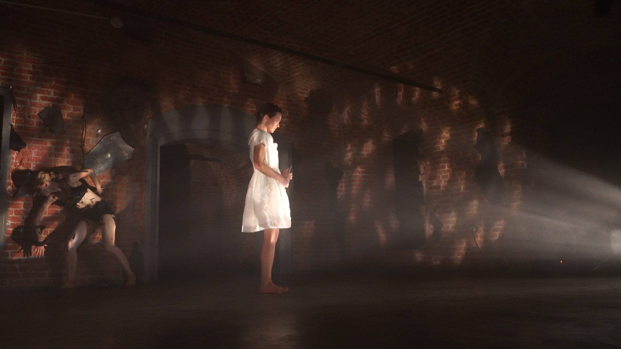 Красное дерево. Фото / Видеосъемка в Москве