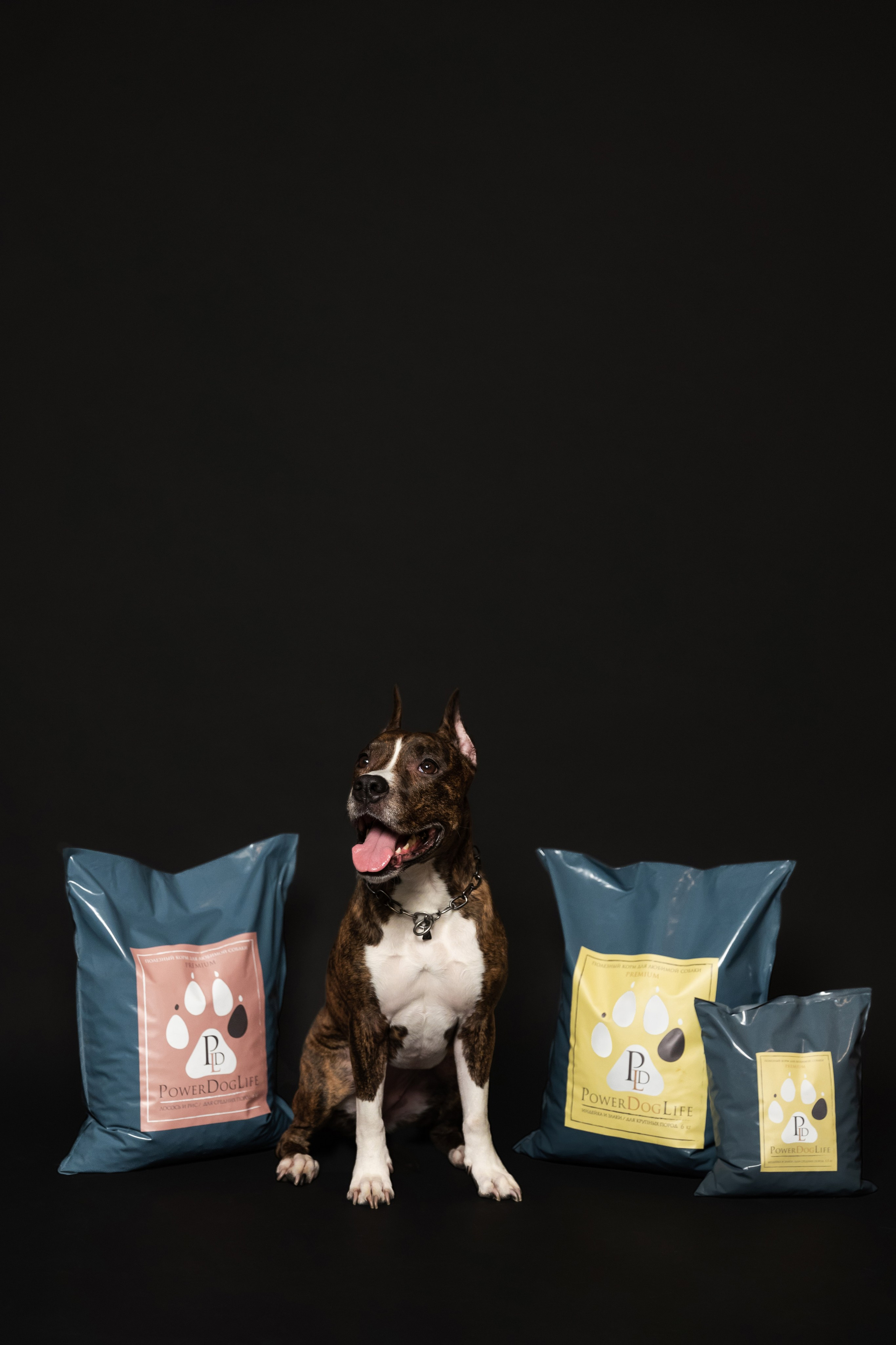 Power Dog Life корм для собак. Фотограф в Санкт-Петербурге