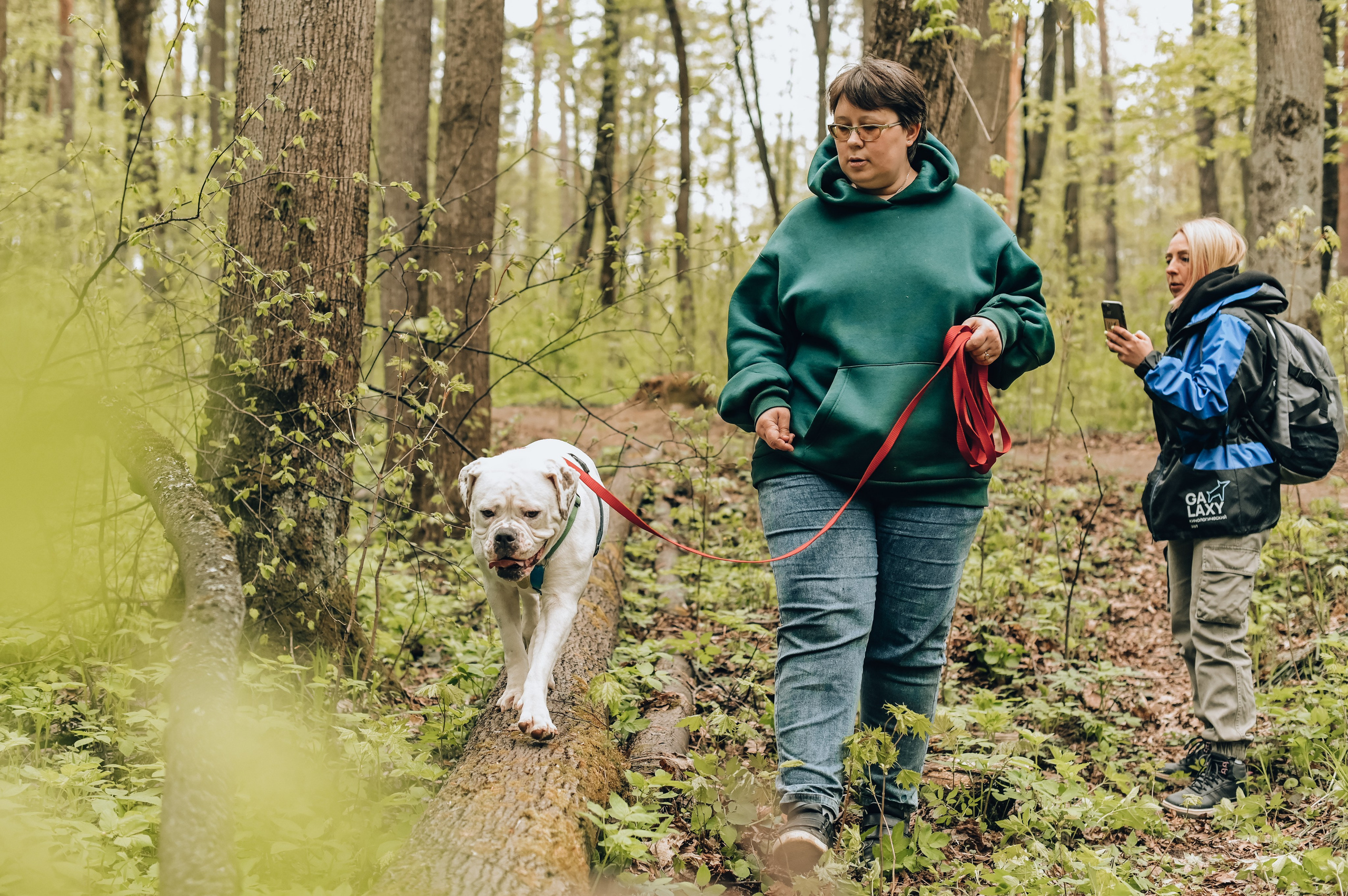 Занятие с кинологом. Семейный и репортажный фотограф в Москве Анастасия Трубкина
