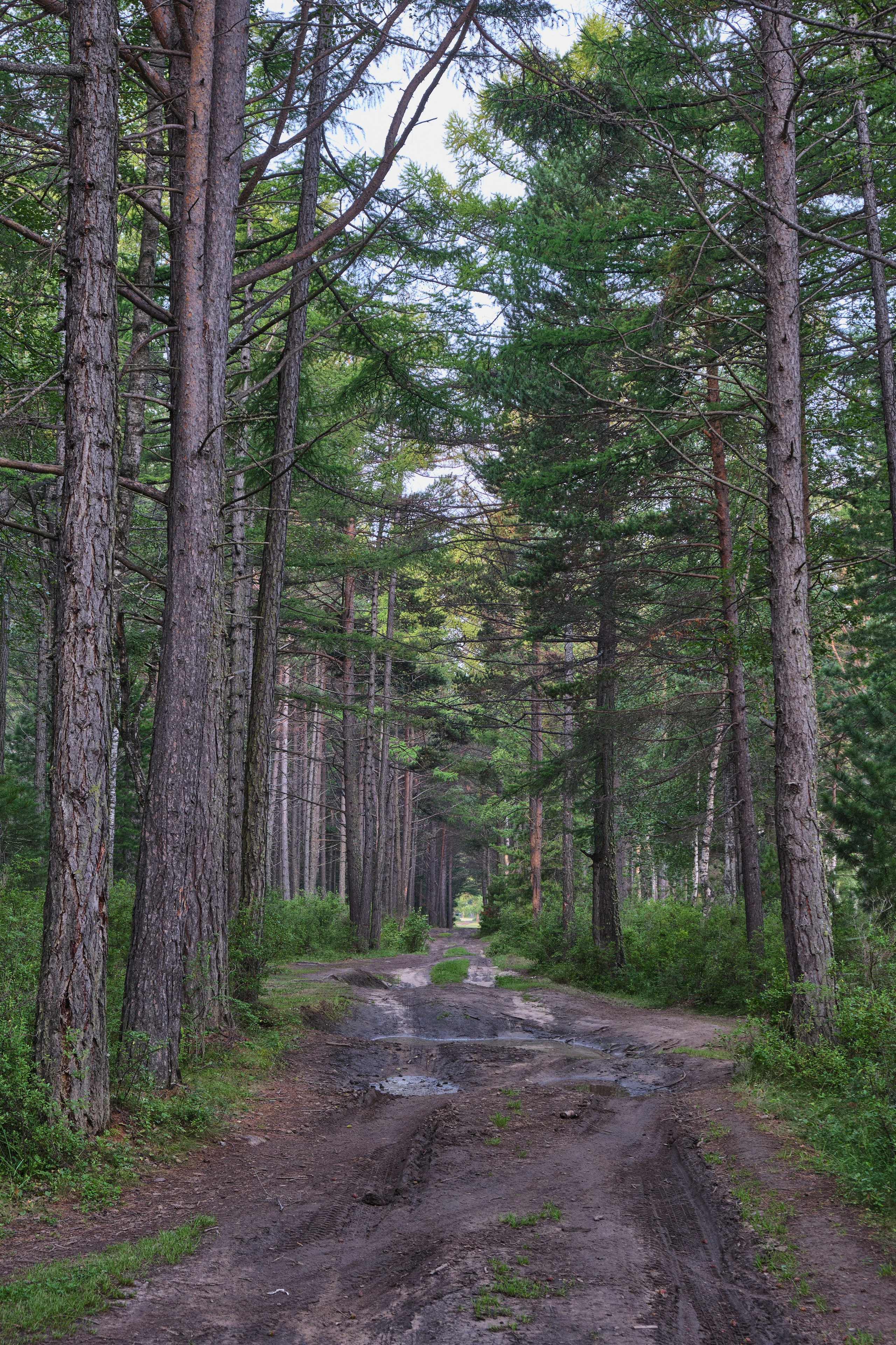 Байкал. Предметный фотограф в Краснодаре