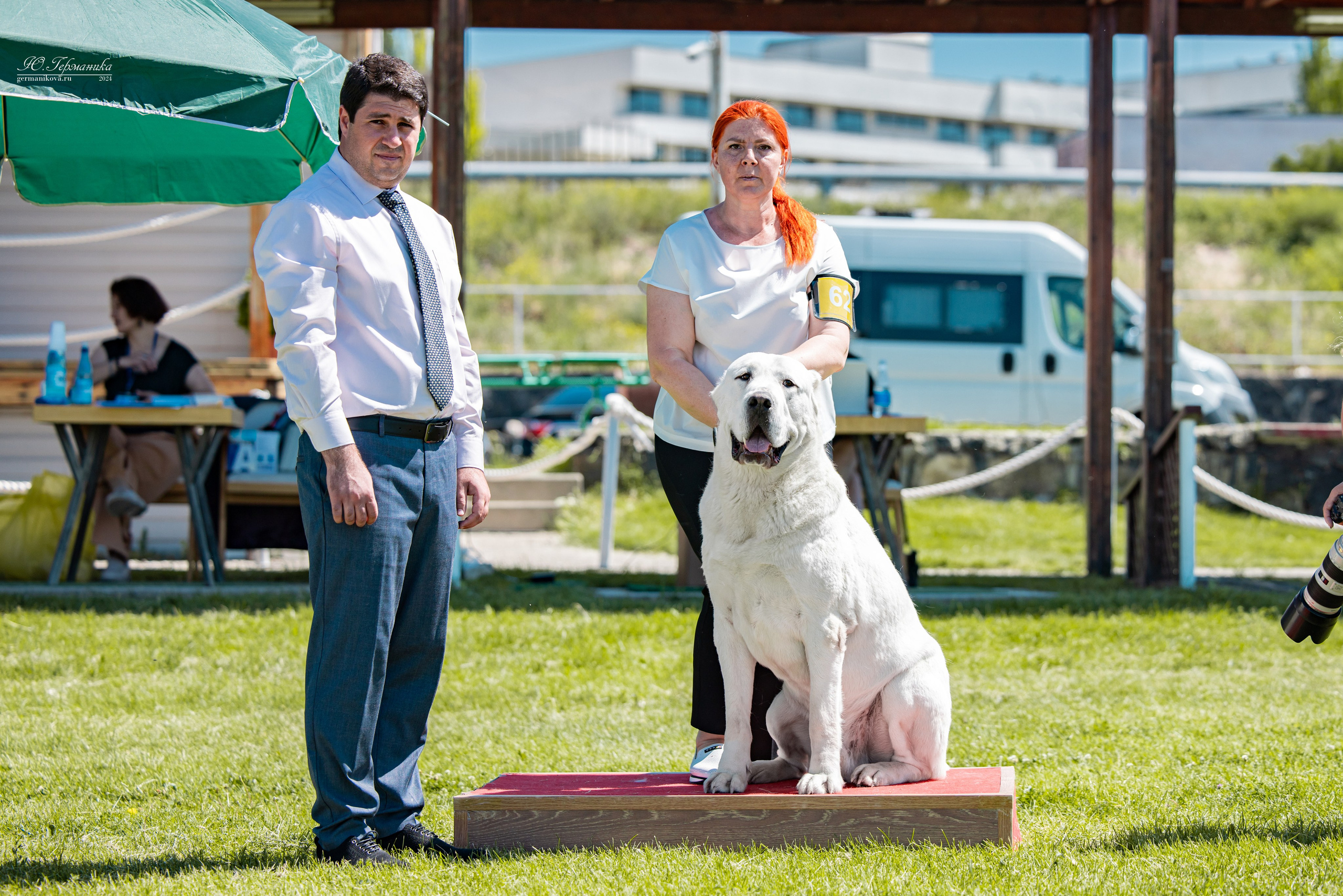 Ереван 3-5.06.2024. Фотограф-анималист Юлия Германика