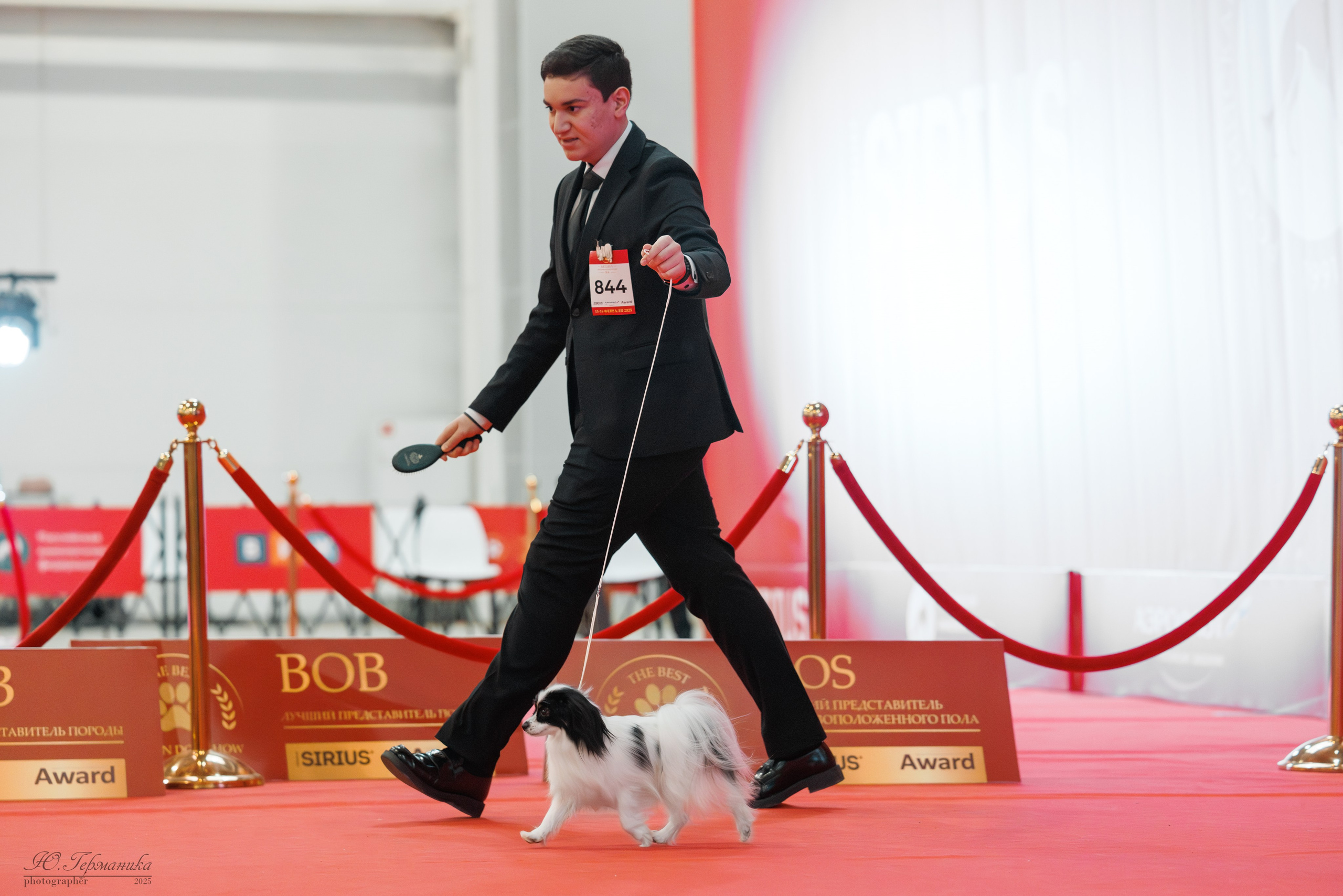 Лучшие собаки России 2025. Фотограф-анималист Юлия Германика