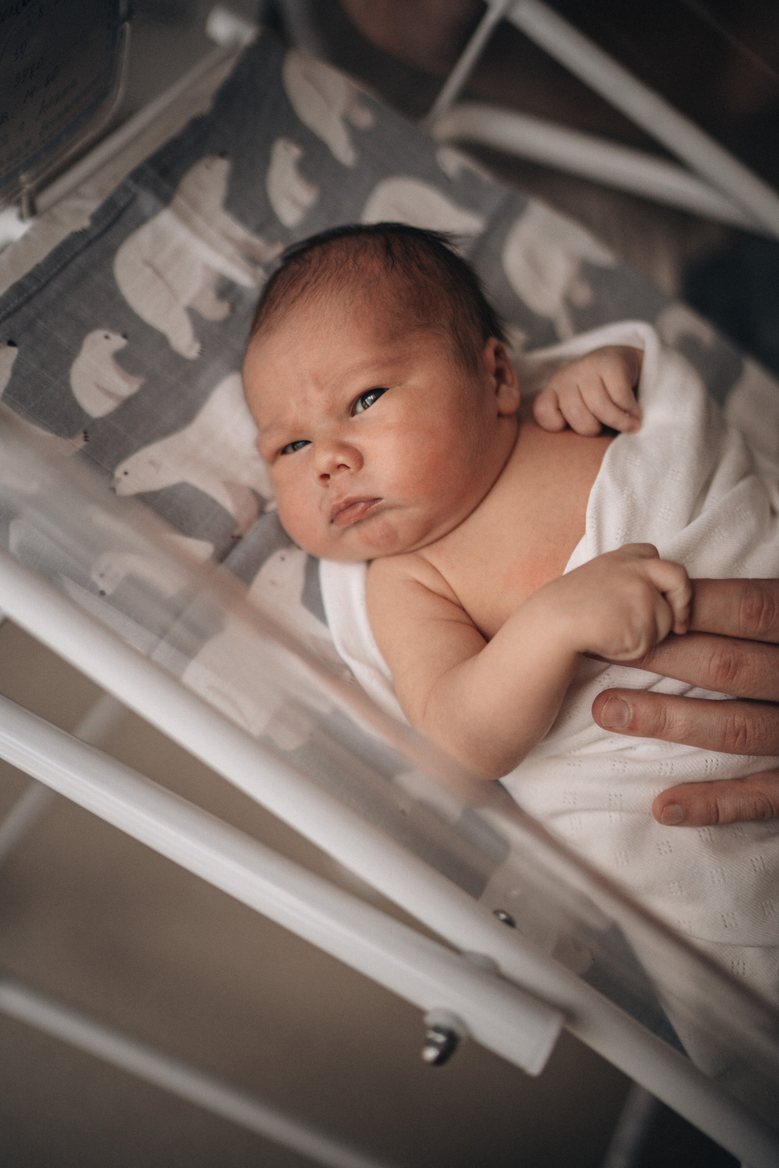 Тимур. Надежда Виховская — семейный фотограф в Астане