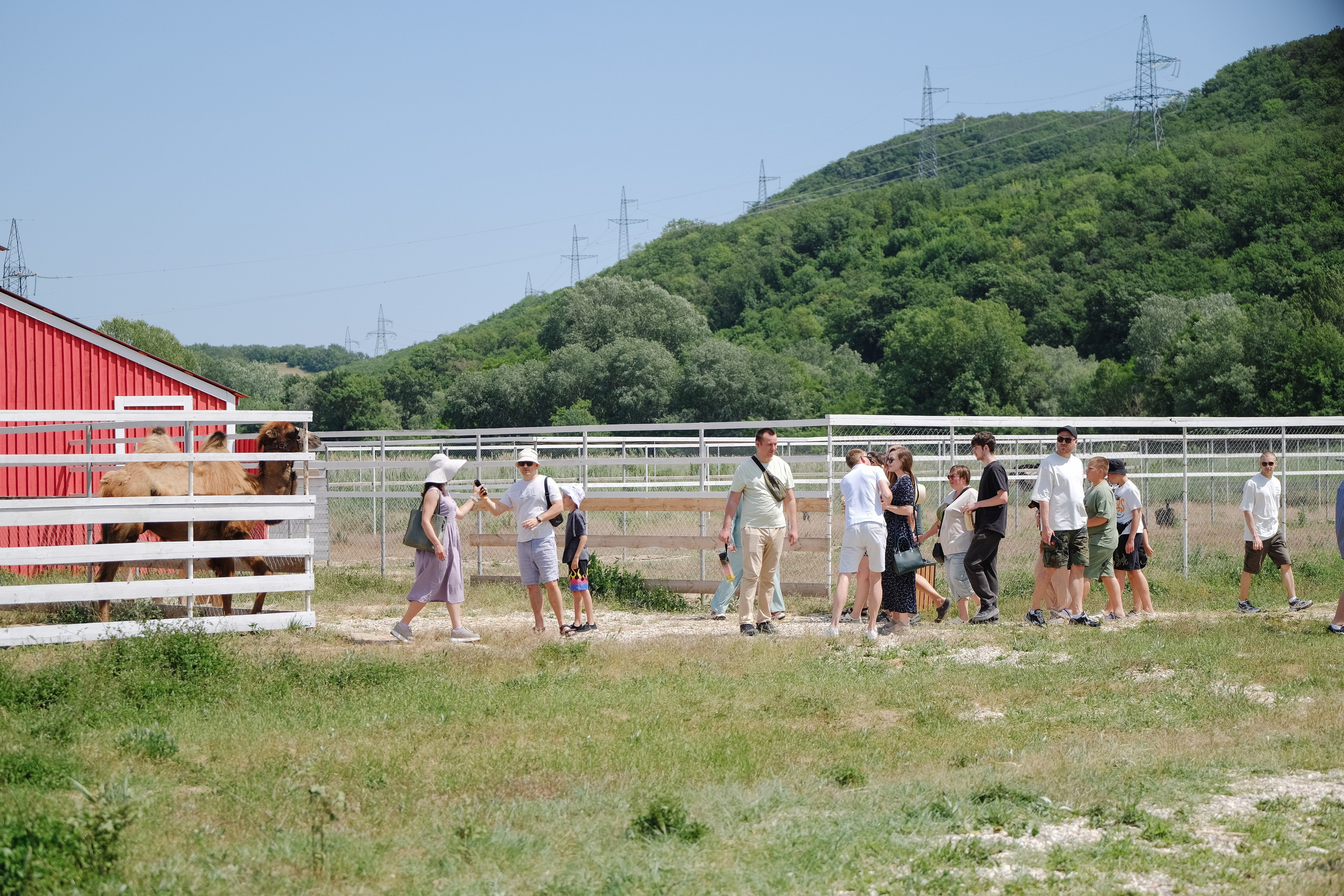 Репортаж на ферме. Профессиональная фотосъемка в Крыму. Натуральные эмоции и живые кадры. Забронируйте дату прямо сейчас!