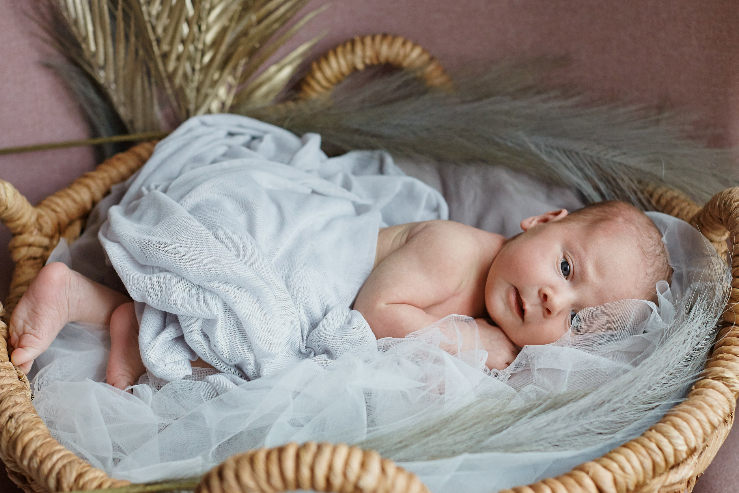 Есения. Фотограф Ольга Ефремова