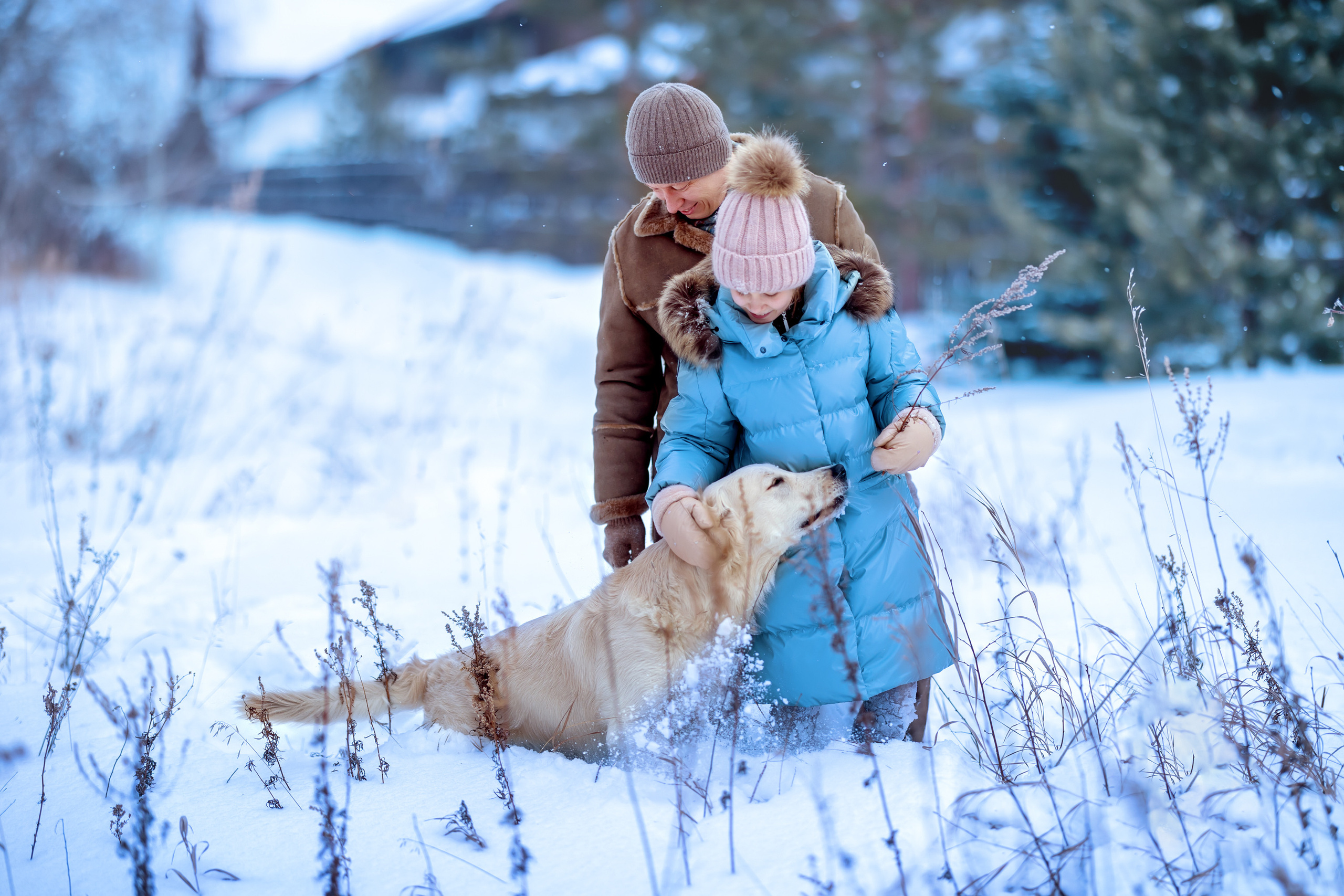 Зимние забавы. Фотосессия зимой в лесу. Девочка с папой и собакой  возле снежной ёлки.