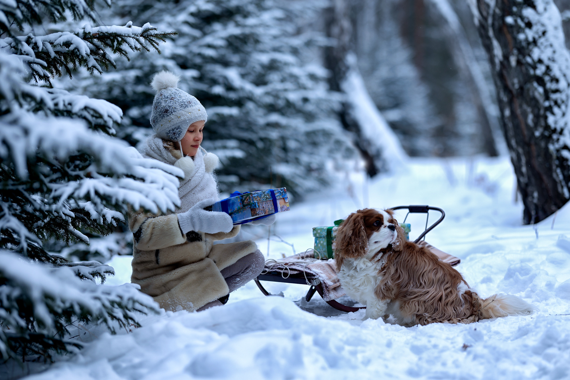 Зимняя фотосессия в лесу. Новогодняя фотосессия в лесу с девочкой и собакой