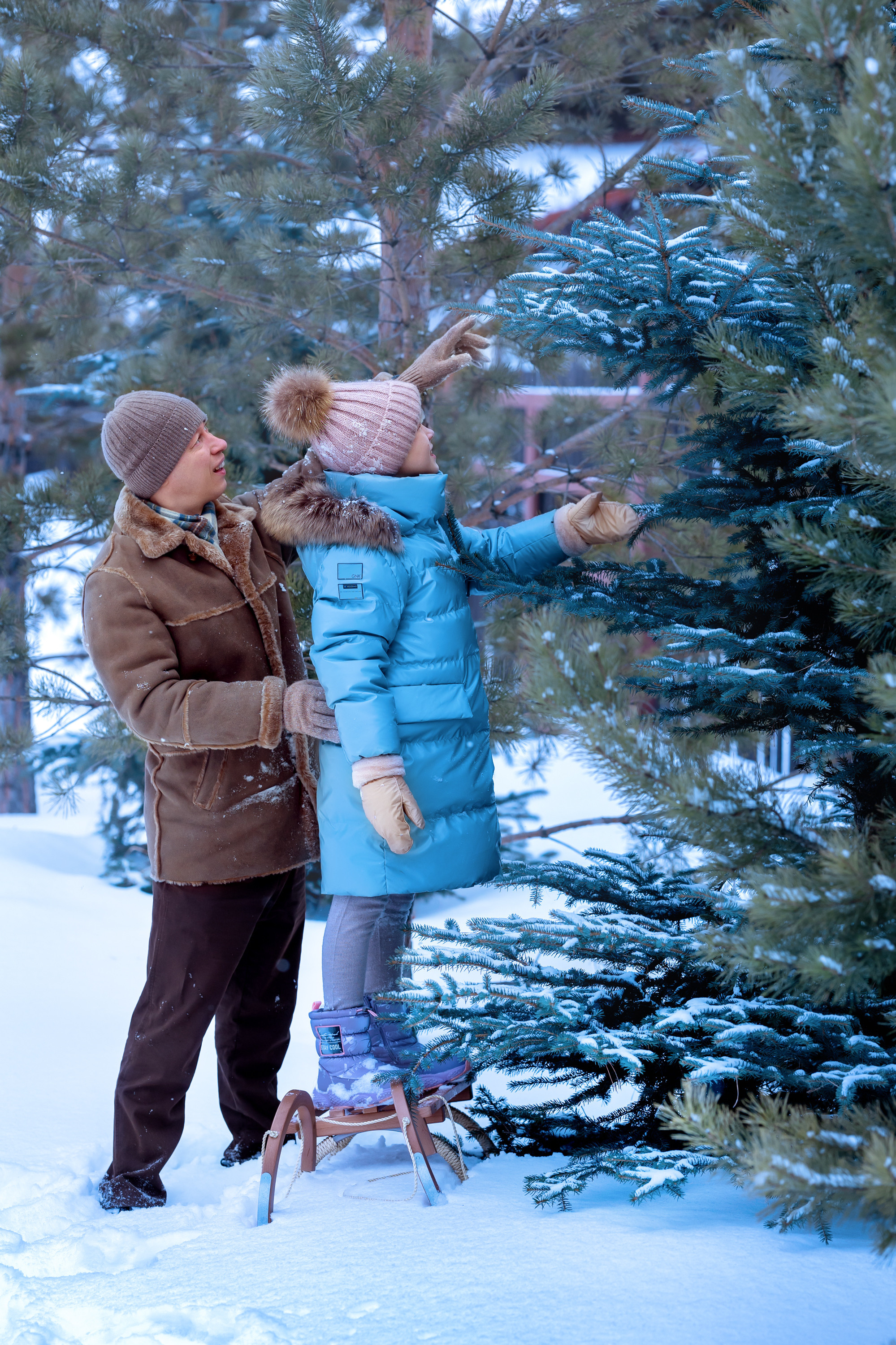 Зимние забавы. Фотосессия зимой в лесу. Девочка с папой возле снежной ёлки.