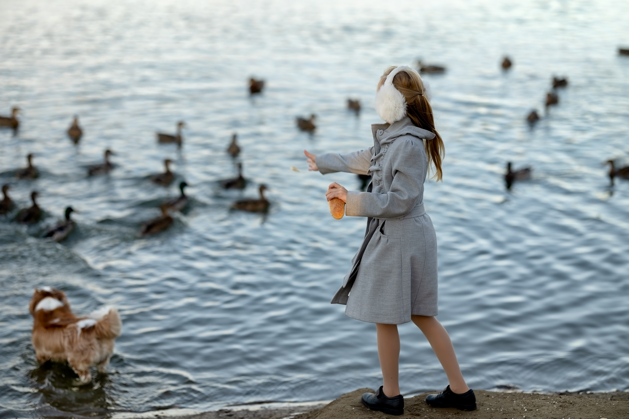 Девочка осенью возле озера с собакой кормит уточек