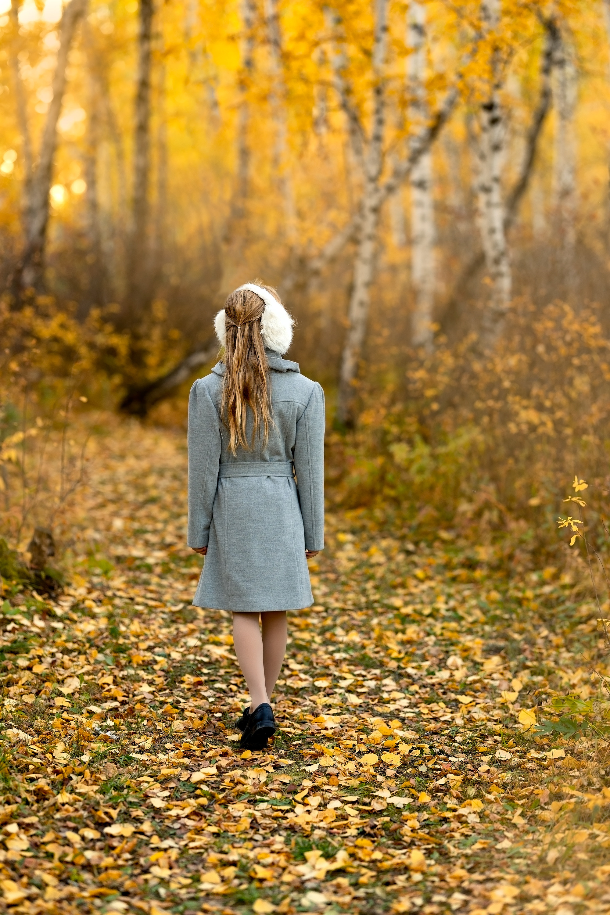 Девочка в парке , в осеннем березовой  лесу идет по дорожке