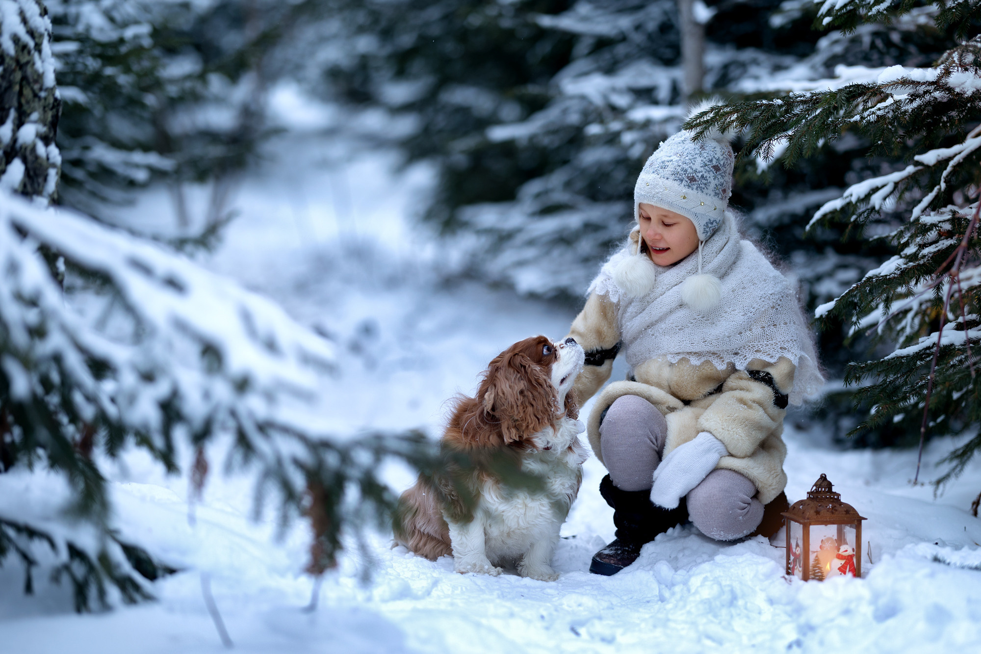 Зимняя фотосессия в лесу. Новогодняя фотосессия в лесу с девочкой и собакой