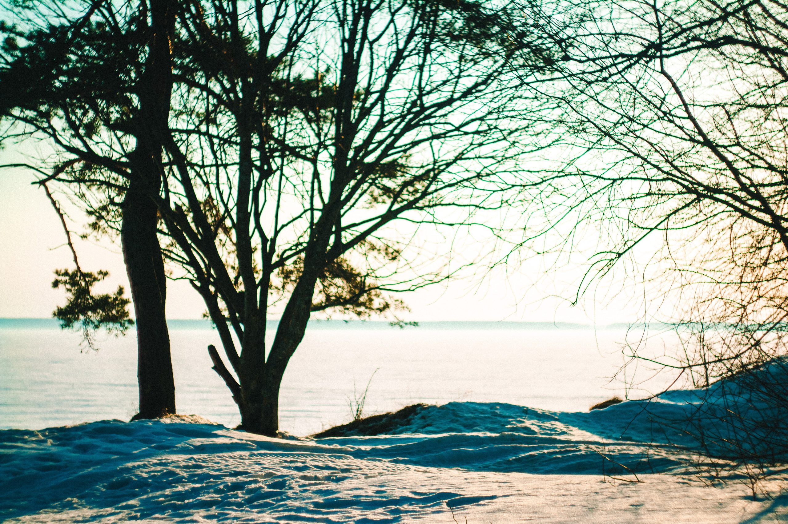 Narcissist. Den Mirov — Photographer, Musician