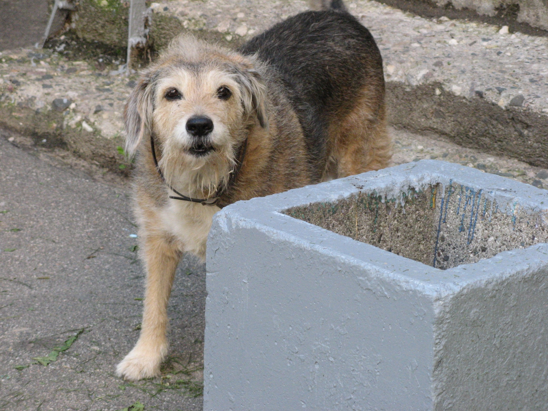 Август 2025. Den Mirov — Фотограф, Музыкант