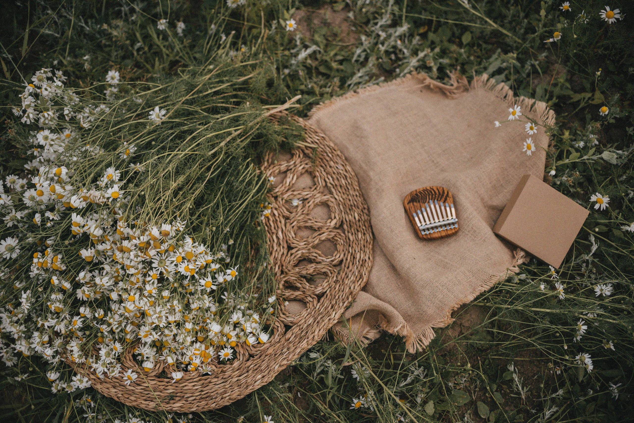 Лера и Варя. Детский и семейный фотограф Катерина Мишина