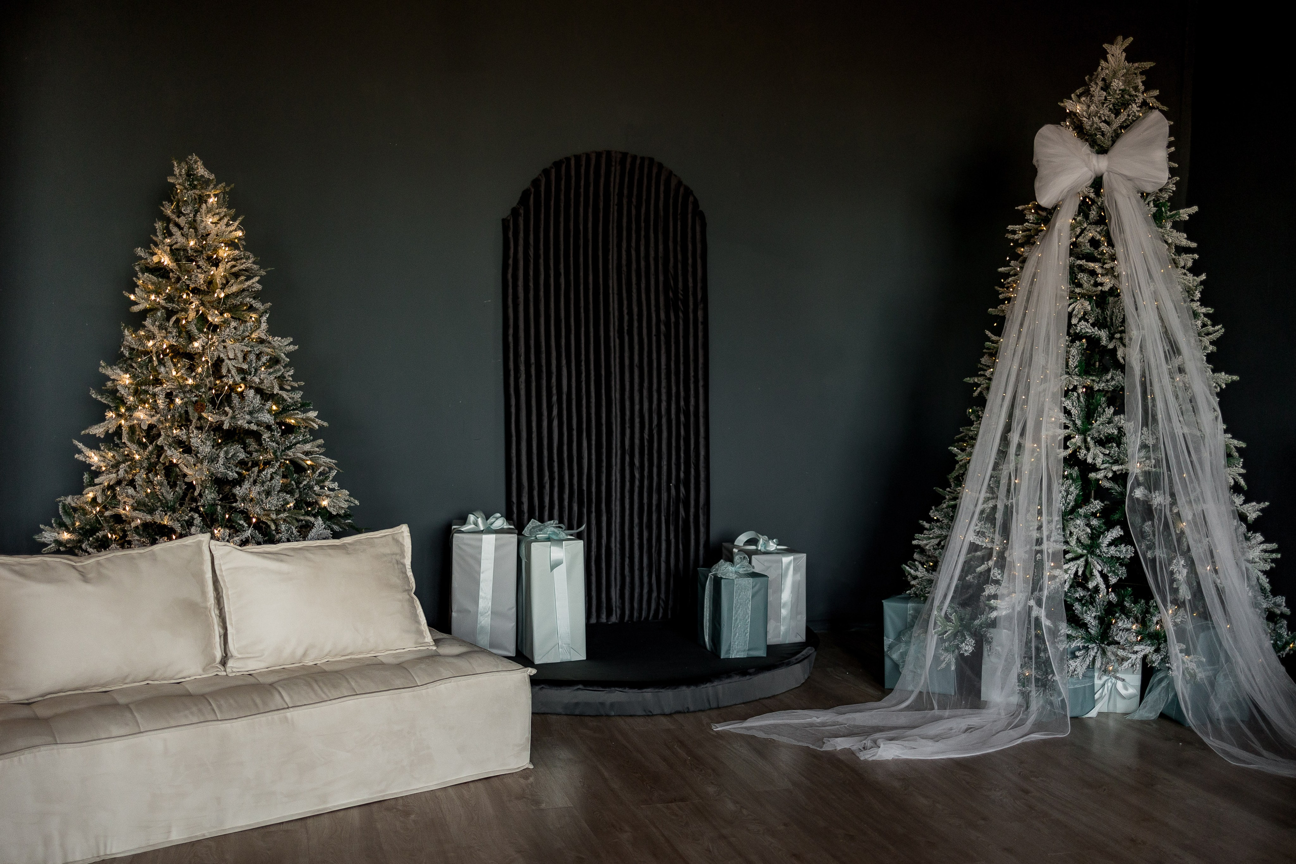 Большой (СЕМЕЙНЫЙ) зал. Фотостудия ЭМБЕР город Артём